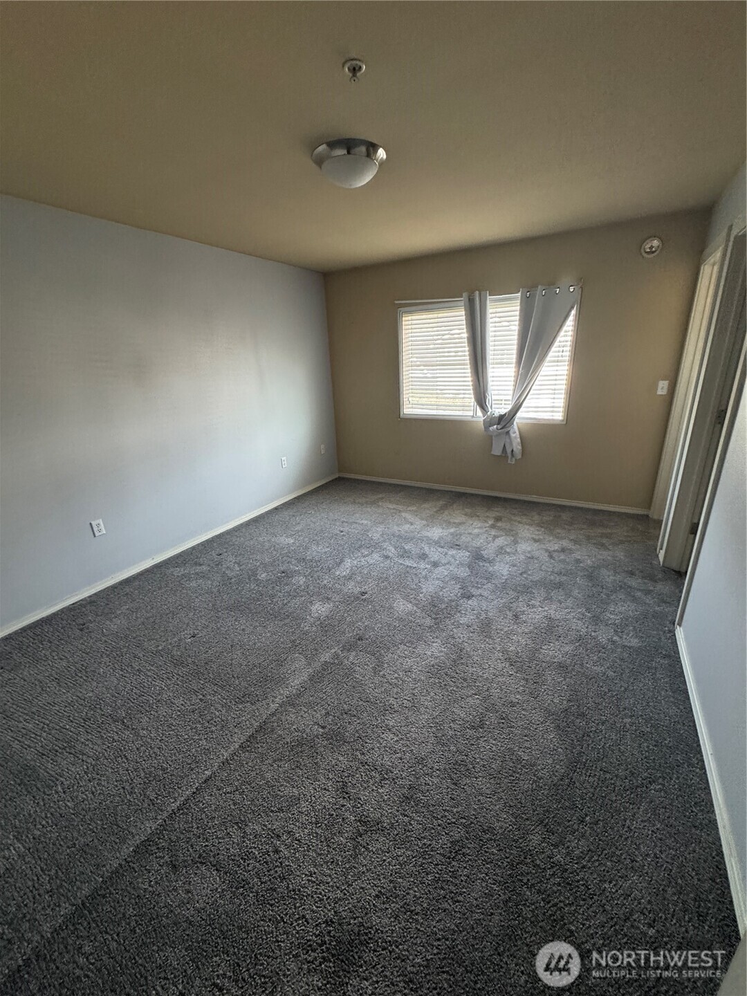 5307 Military Road C Property Photo 16