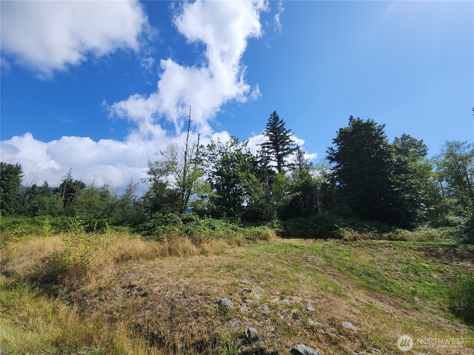 7833 Renic Drive Property Photo 1