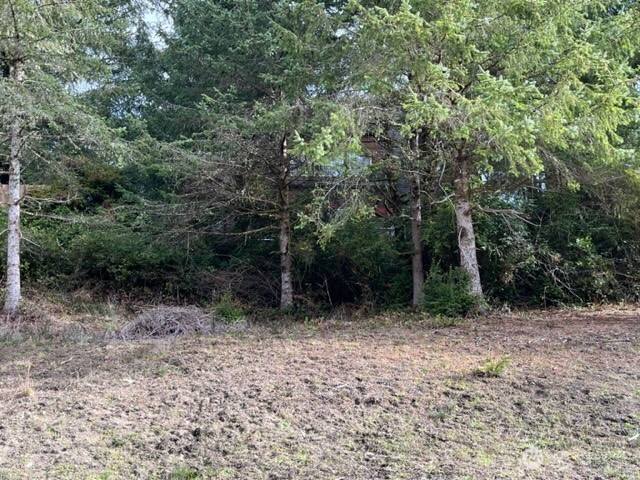 950 Discovery Avenue Property Photo 8