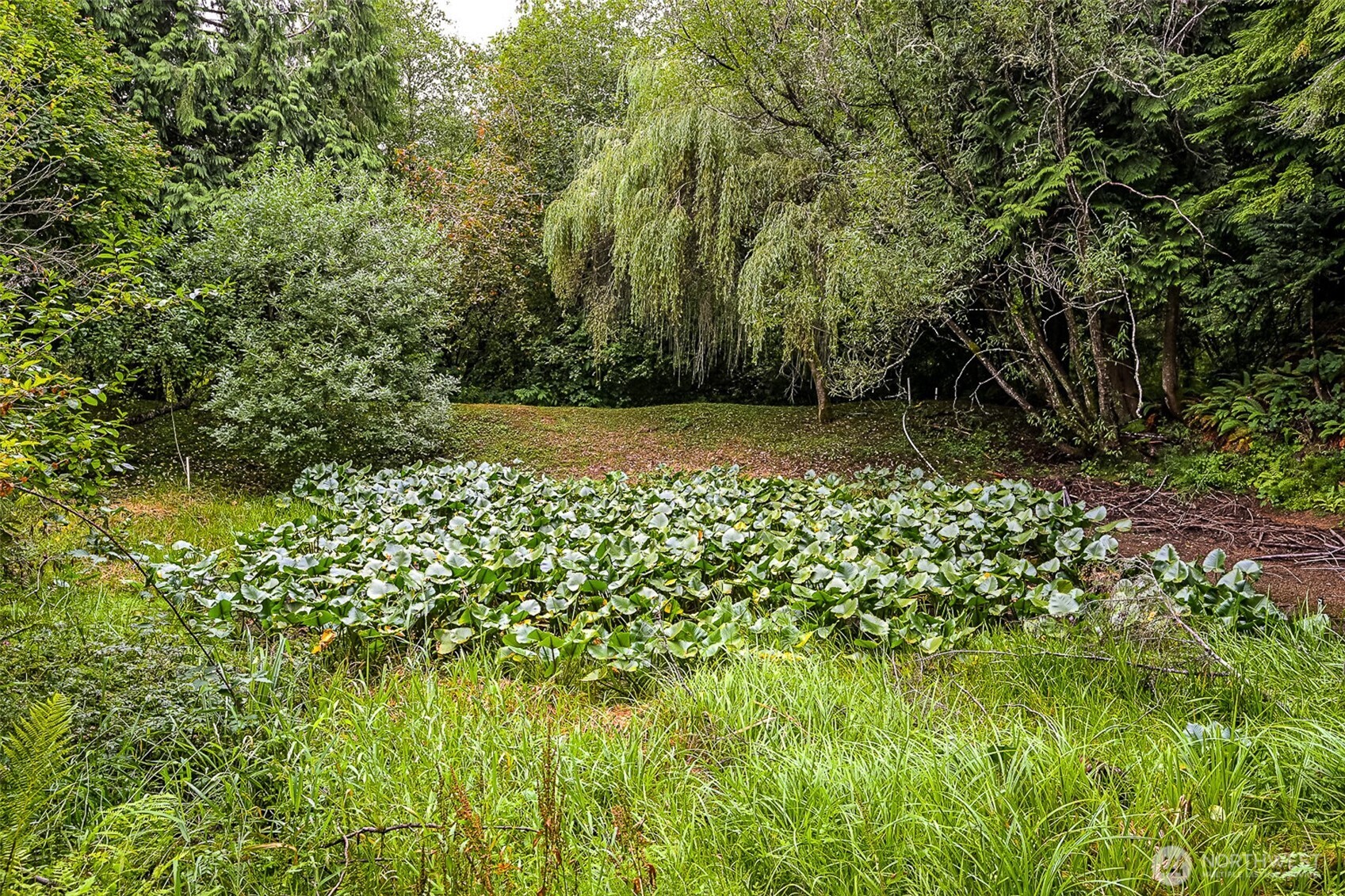 4802 Olympic Highway Property Photo 31