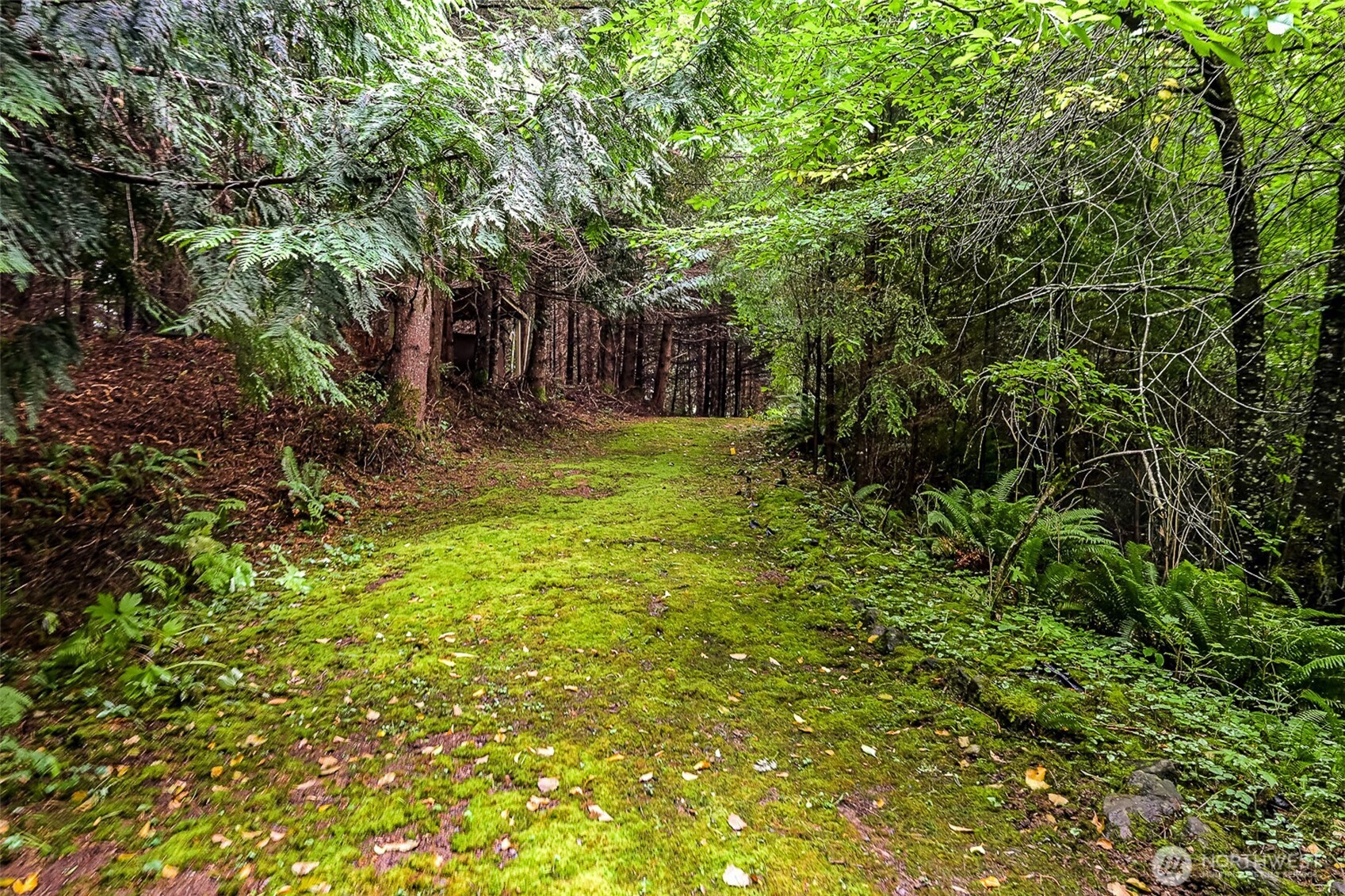 4802 Olympic Highway Property Photo 34