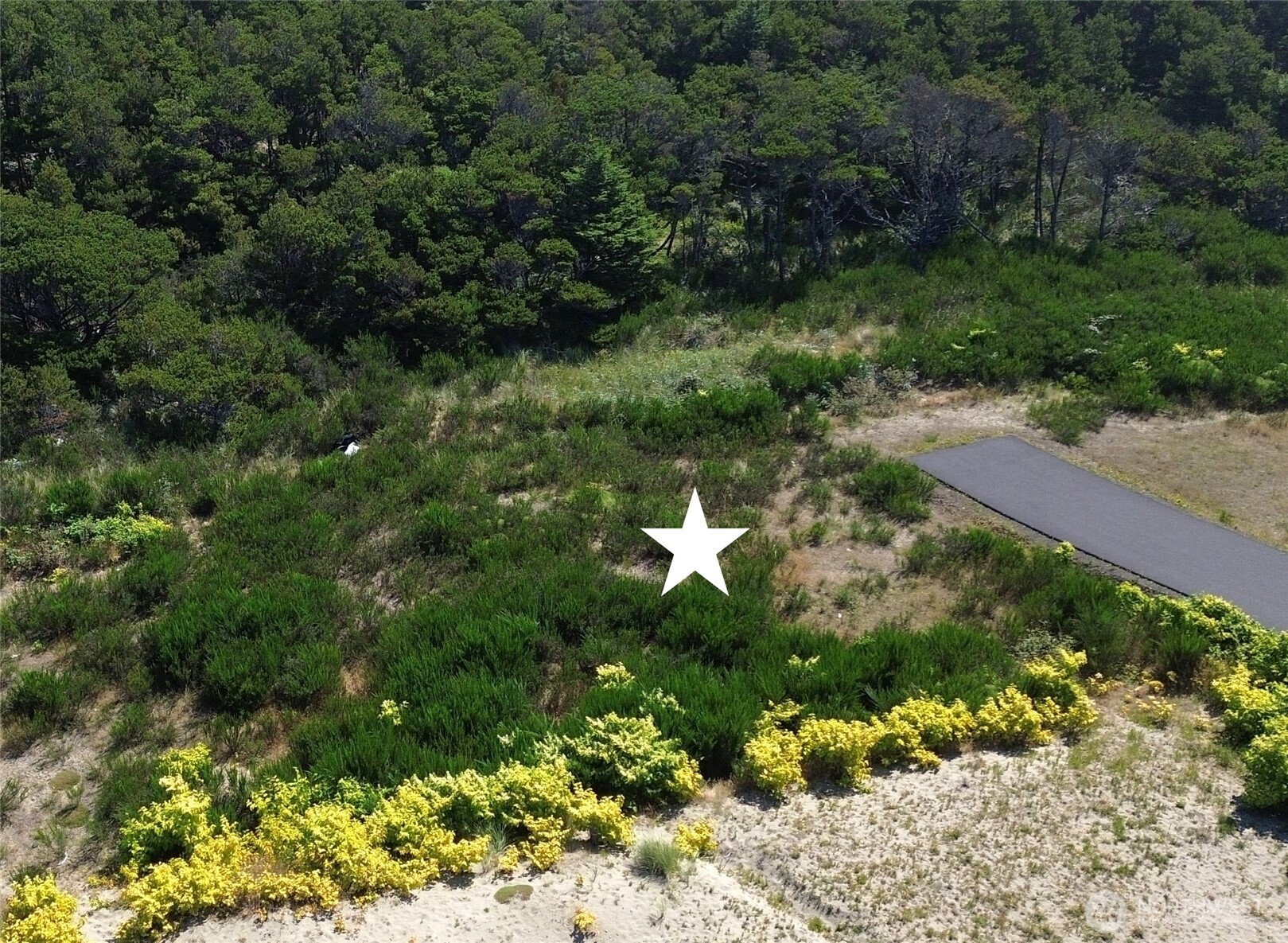 1501 Beach Glass Lane Property Photo 2