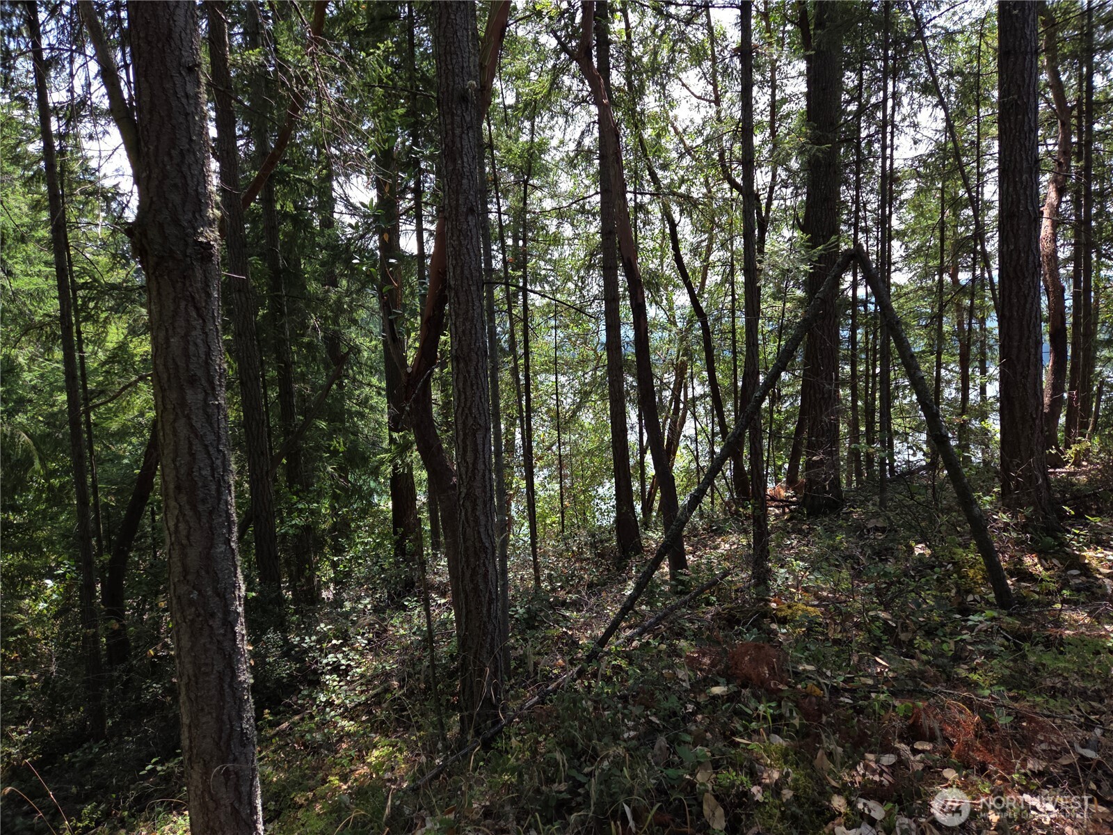 22137 Clear Lake Boulevard Property Photo 1