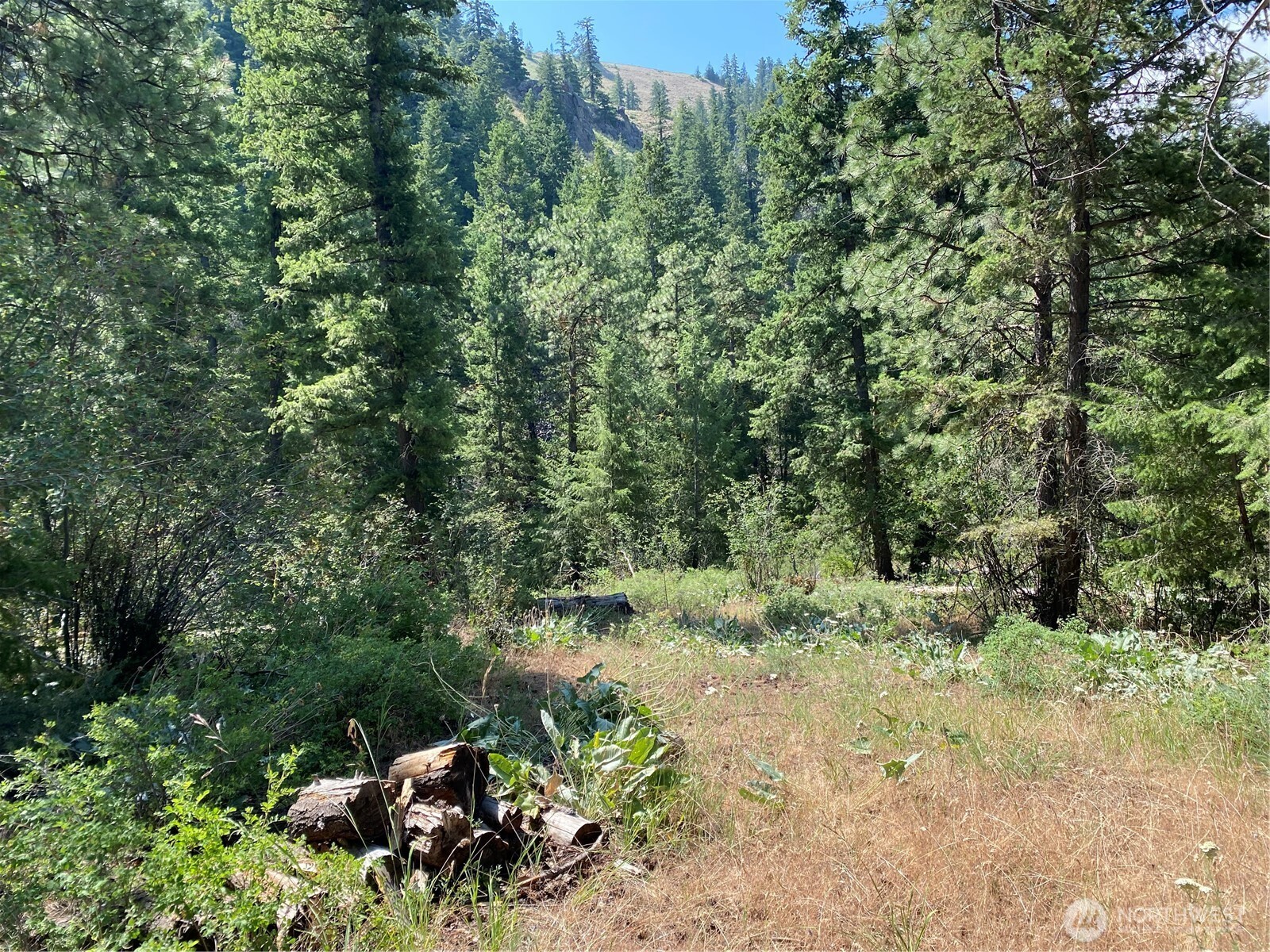 0 Big Springs Ranch Road Property Photo 22