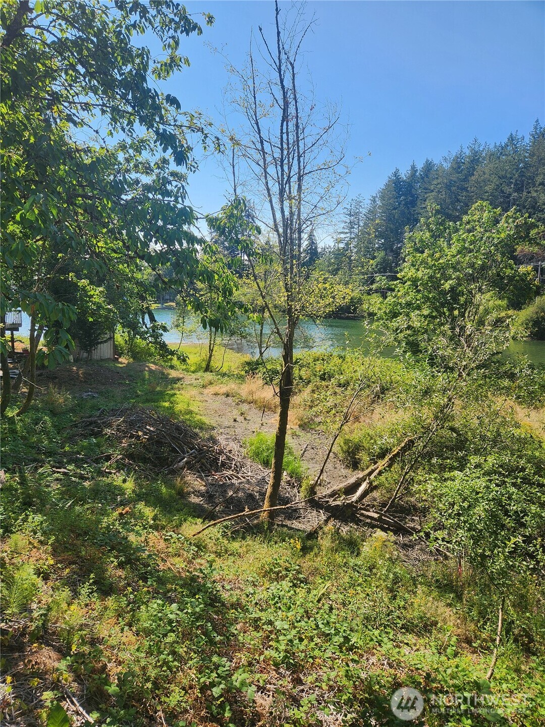 7930 Ray Nash Drive Property Photo 8