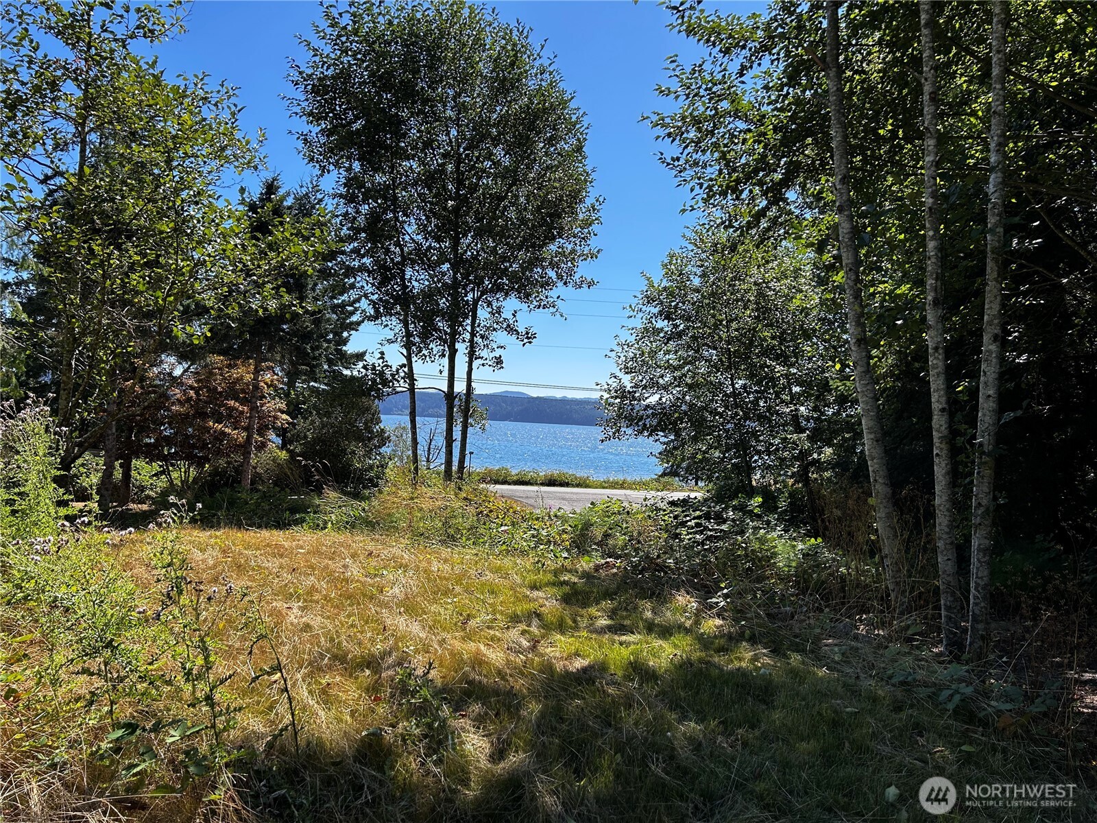 11 Williams Court Property Photo 1