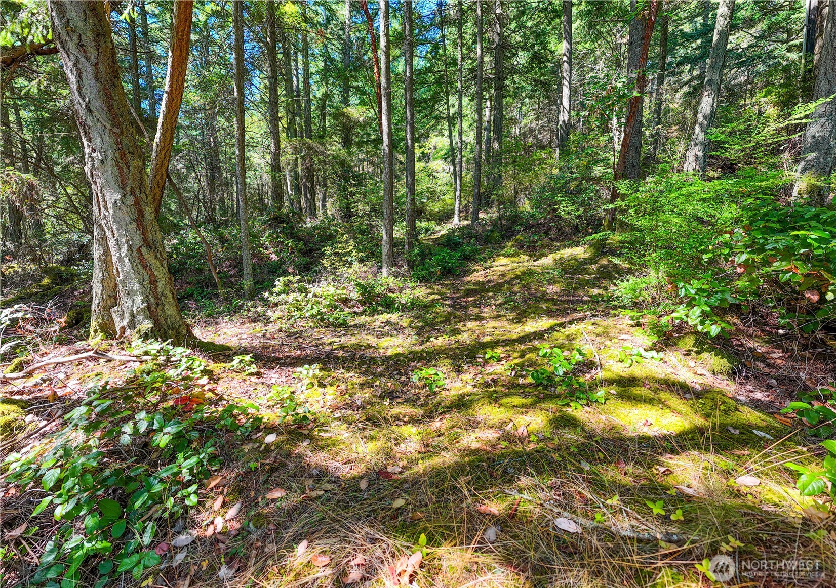 7121 Island View Drive Property Photo 5