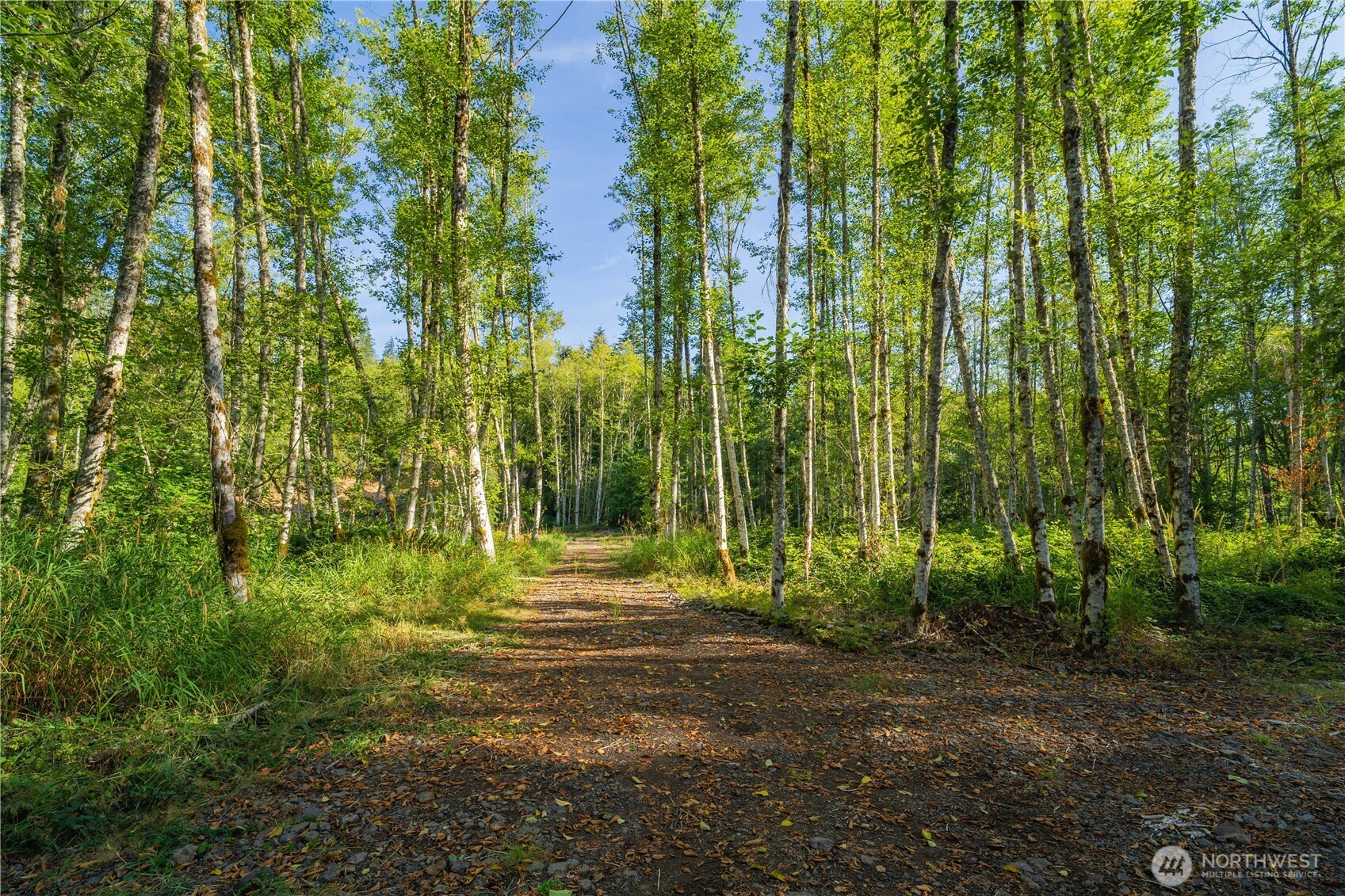 4311 State Route 508 Property Photo 1