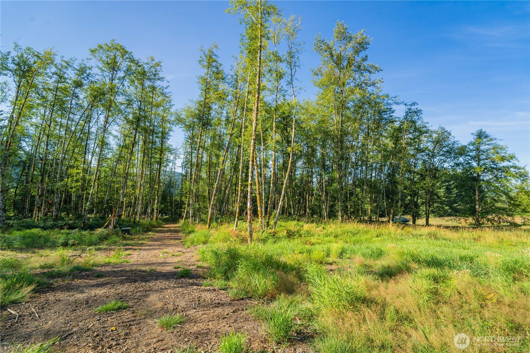 4311 State Route 508 Property Photo 10