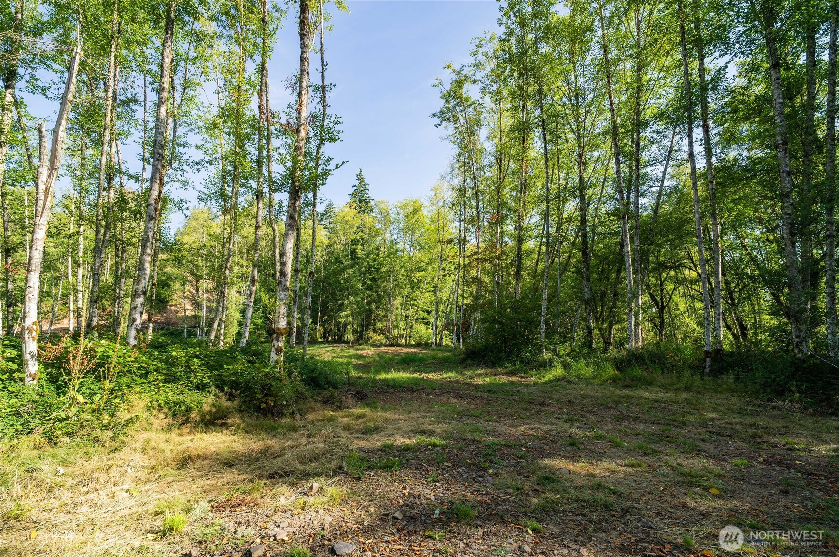4311 State Route 508 Property Photo 11