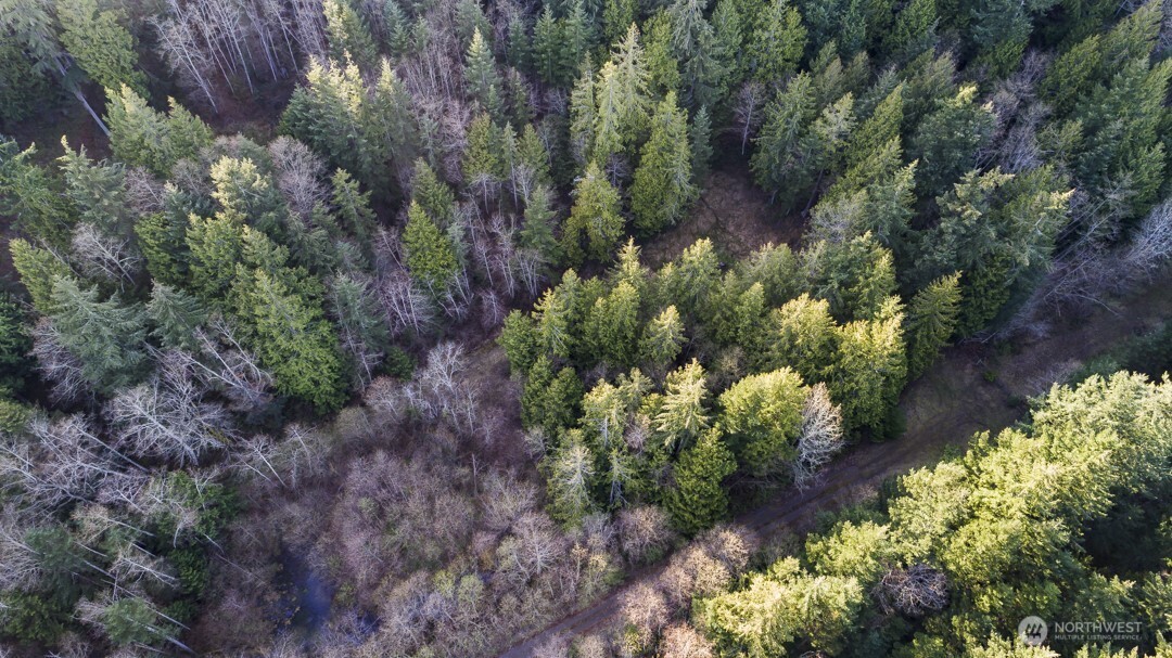 3 Lakewood Park Property Photo 6