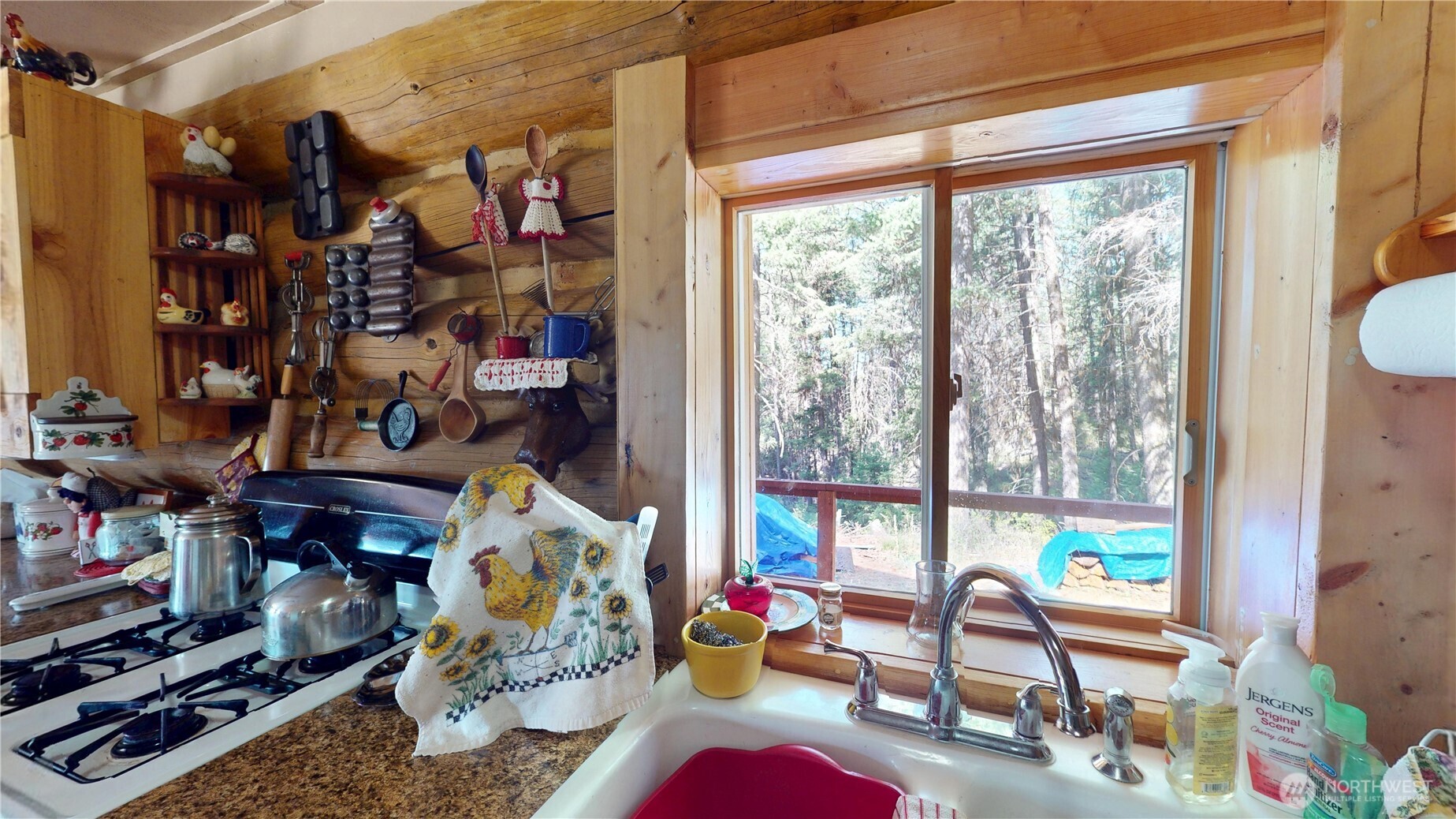 100 Spring Meadow Lane Property Photo 5