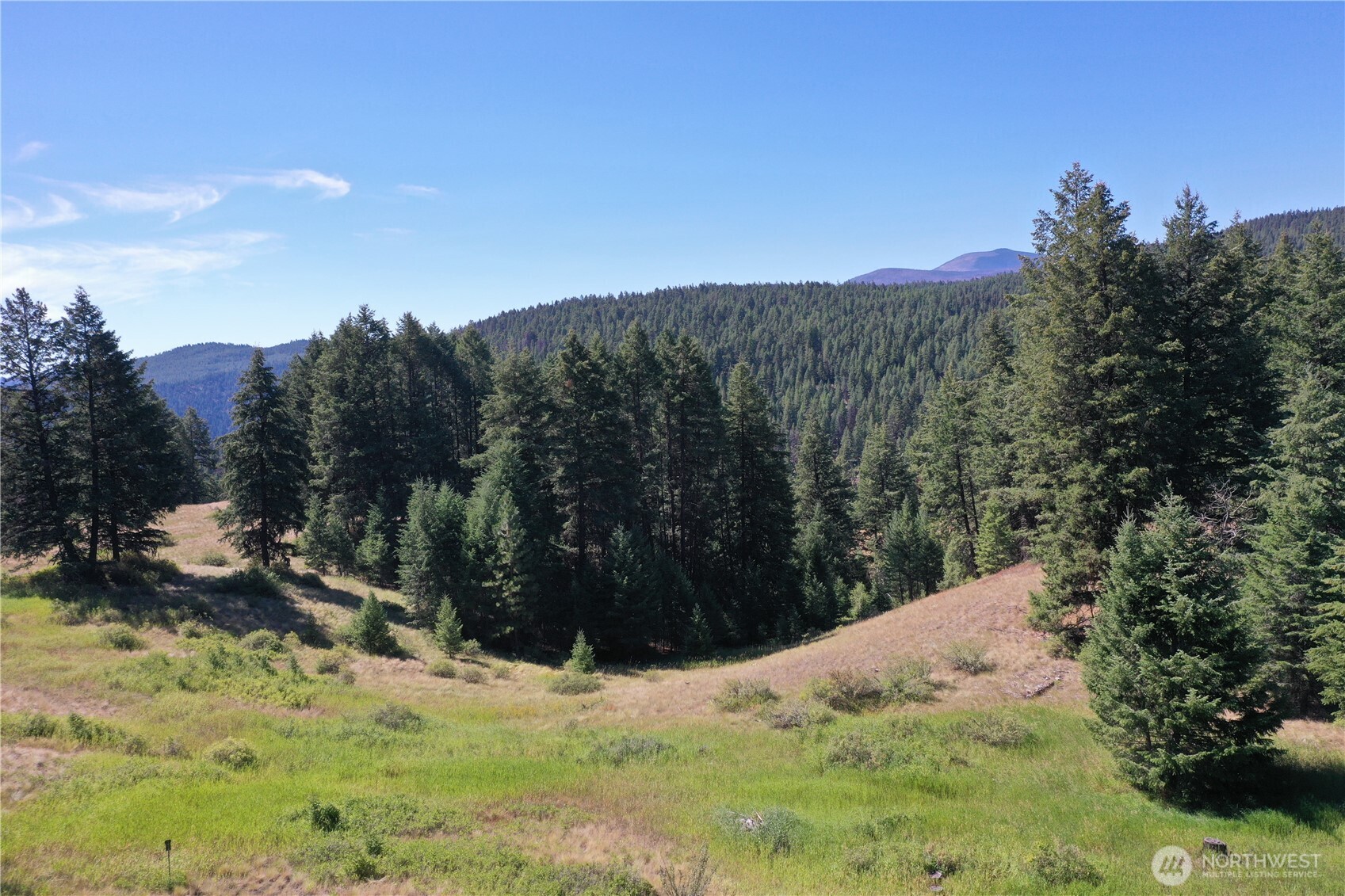 100 Spring Meadow Lane Property Photo 26