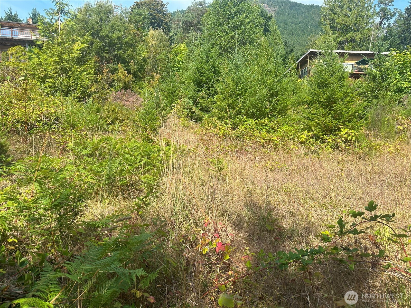 201 Tog Road Property Photo 3