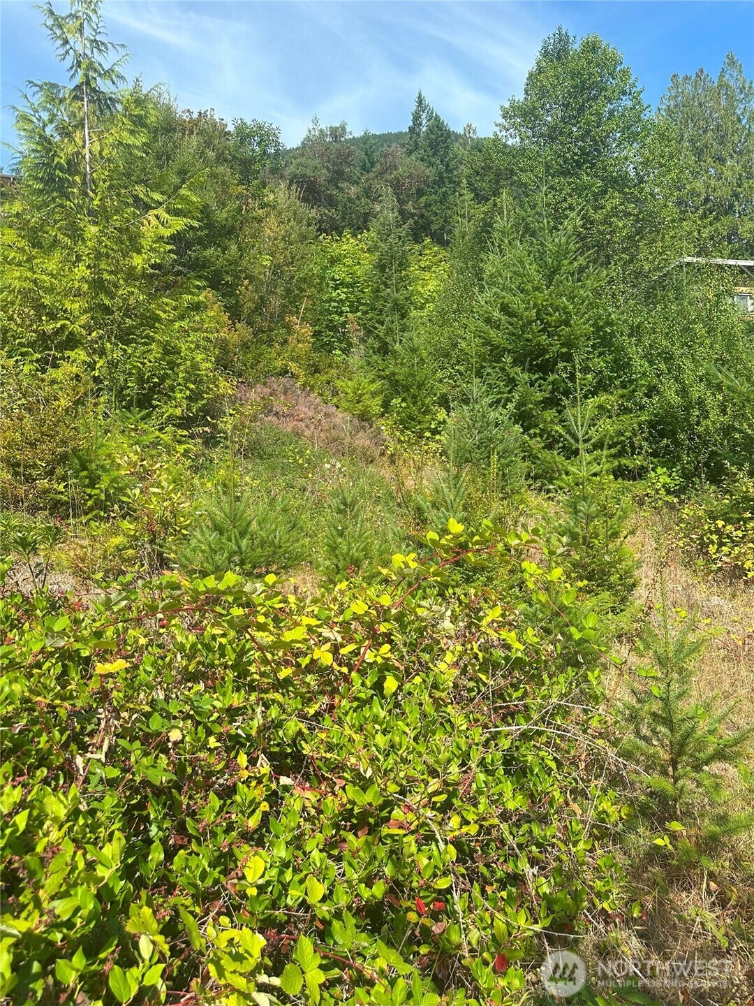 201 Tog Road Property Photo 4