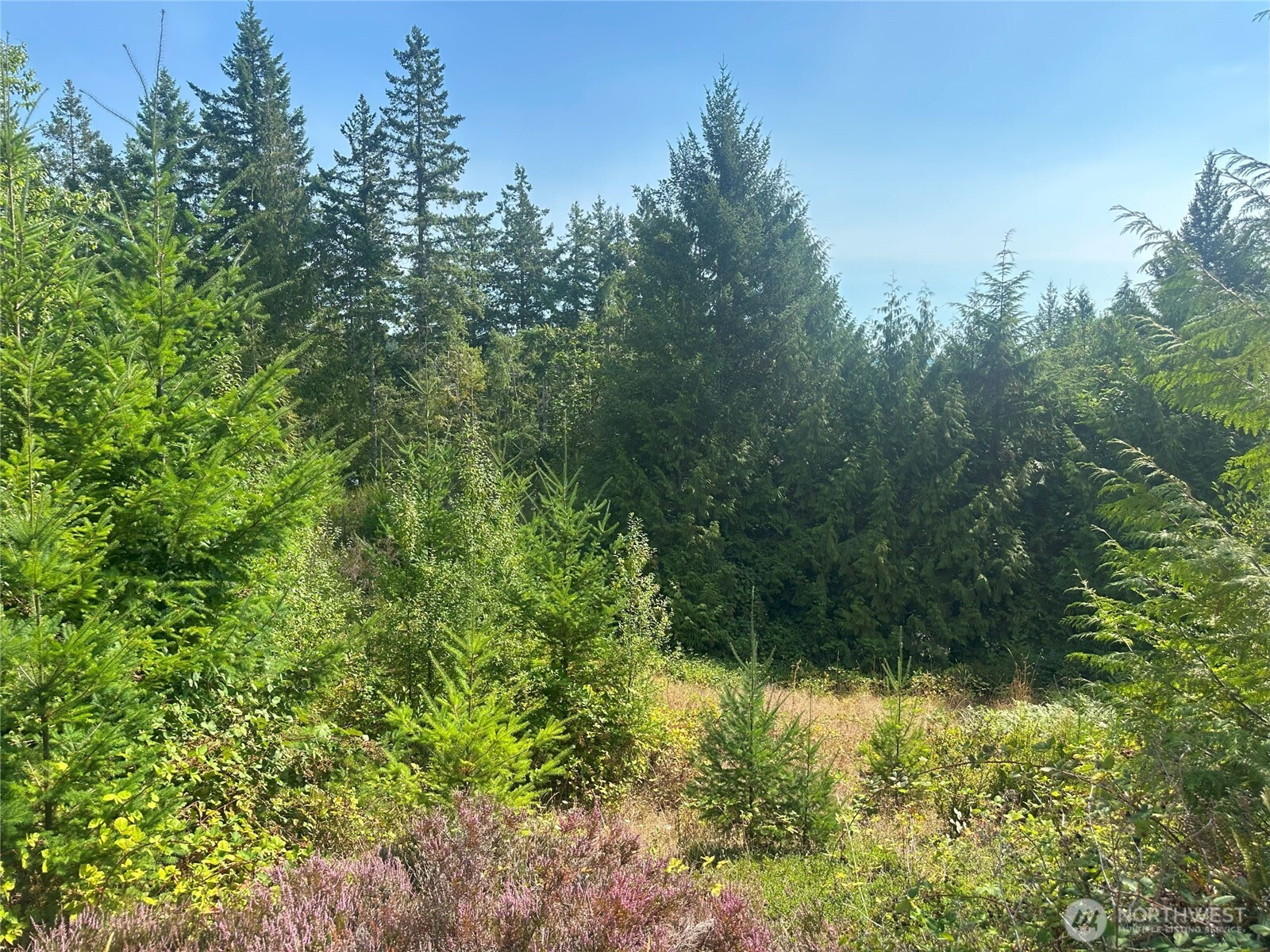 201 Tog Road Property Photo 5