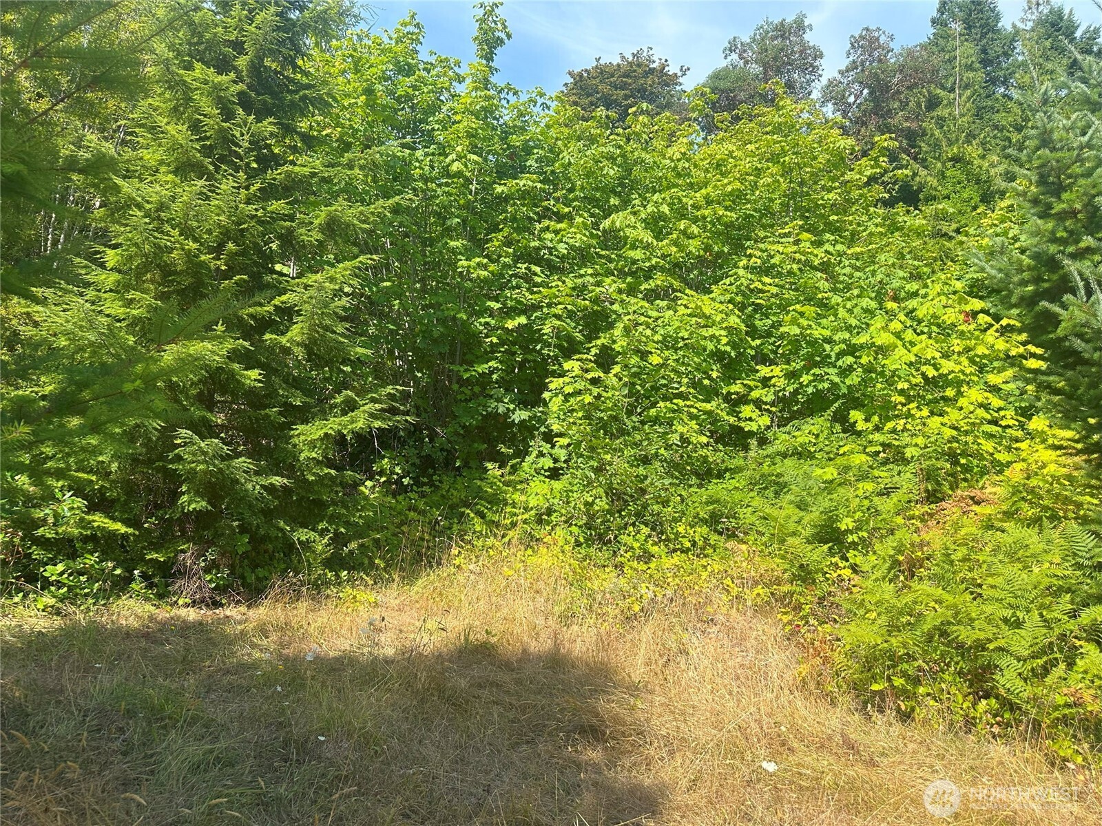 201 Tog Road Property Photo 6
