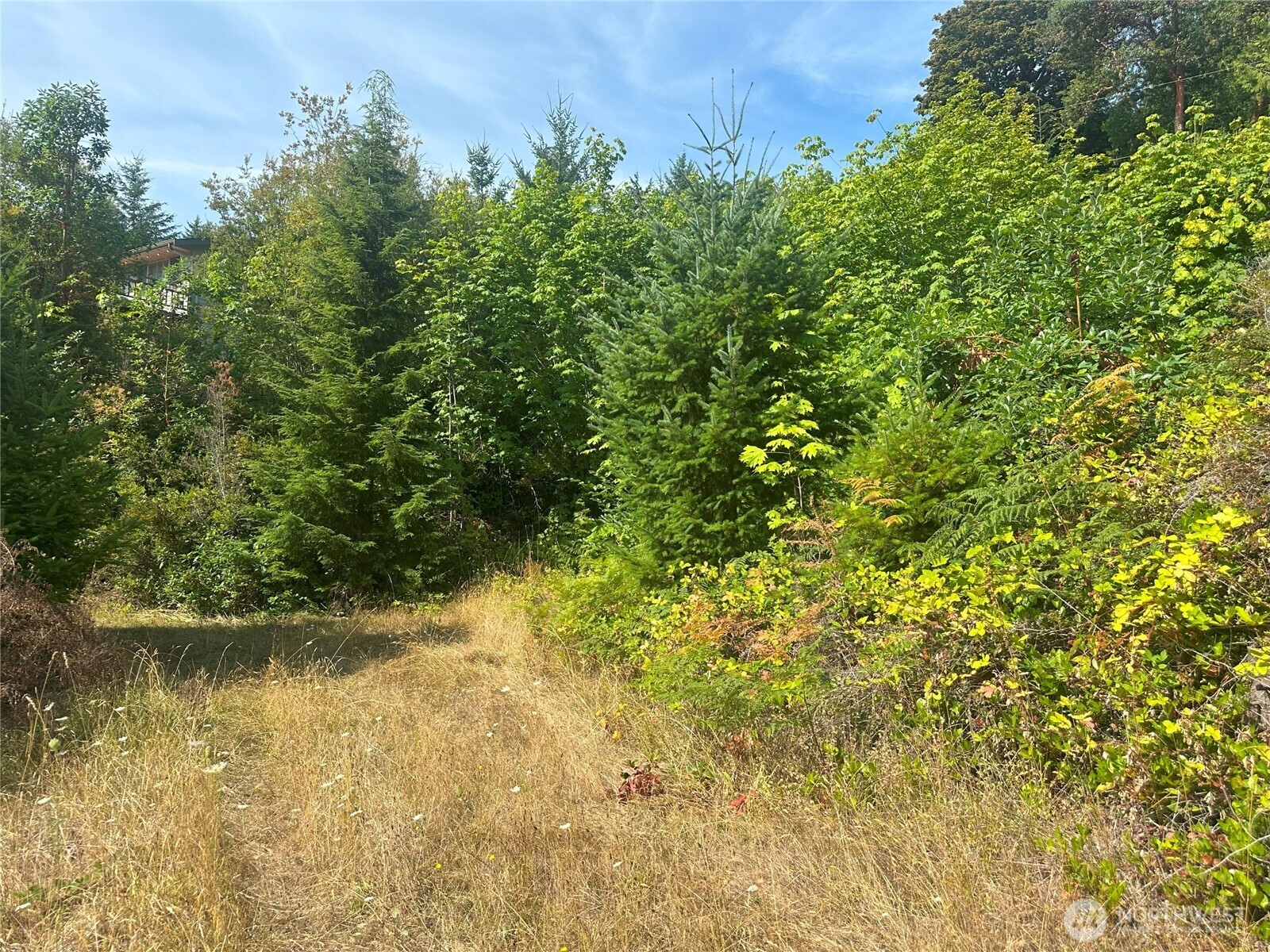 201 Tog Road Property Photo 7