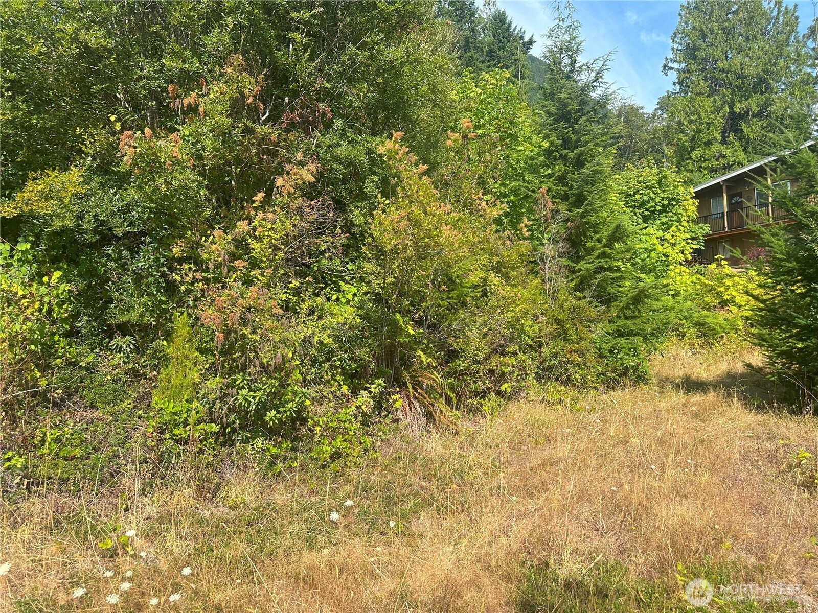 201 Tog Road Property Photo 8