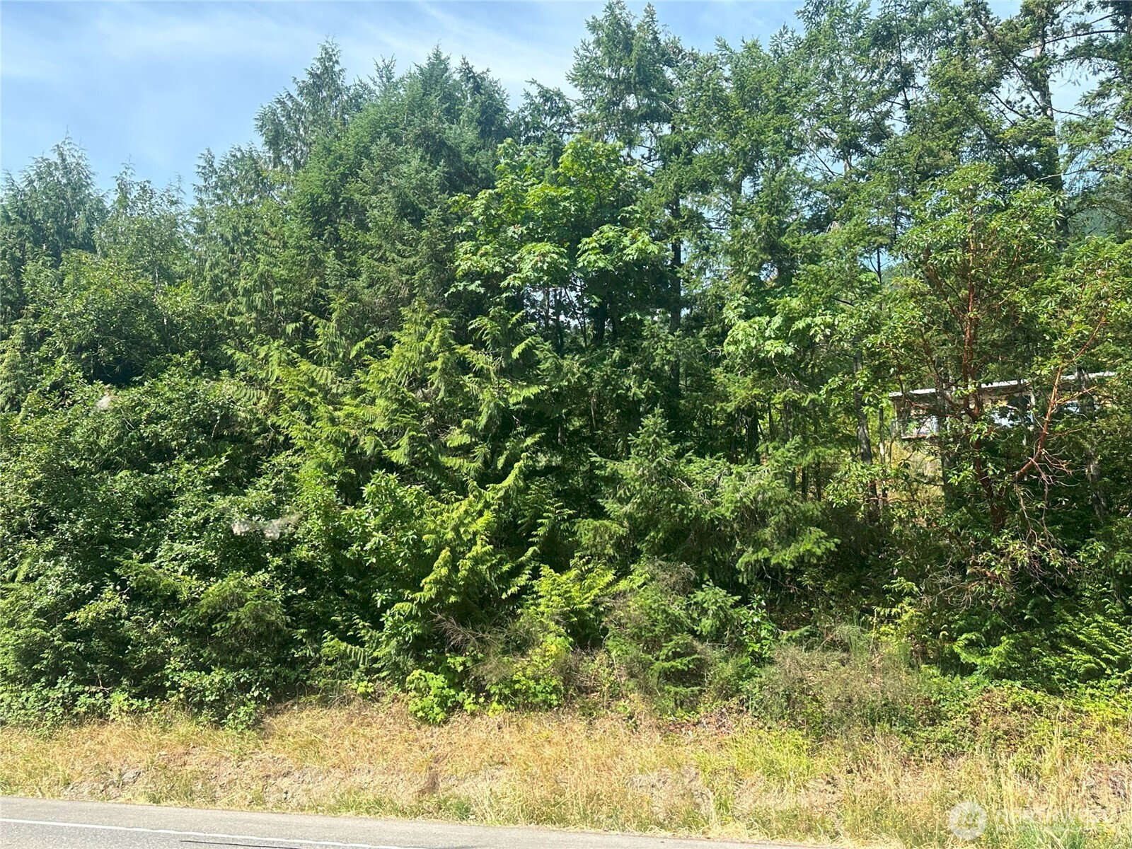 201 Tog Road Property Photo 14