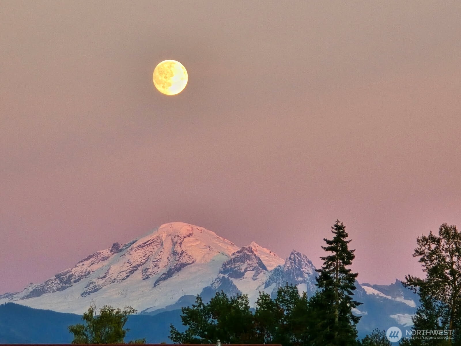 5311 Muriel Dr. Property Photo 1