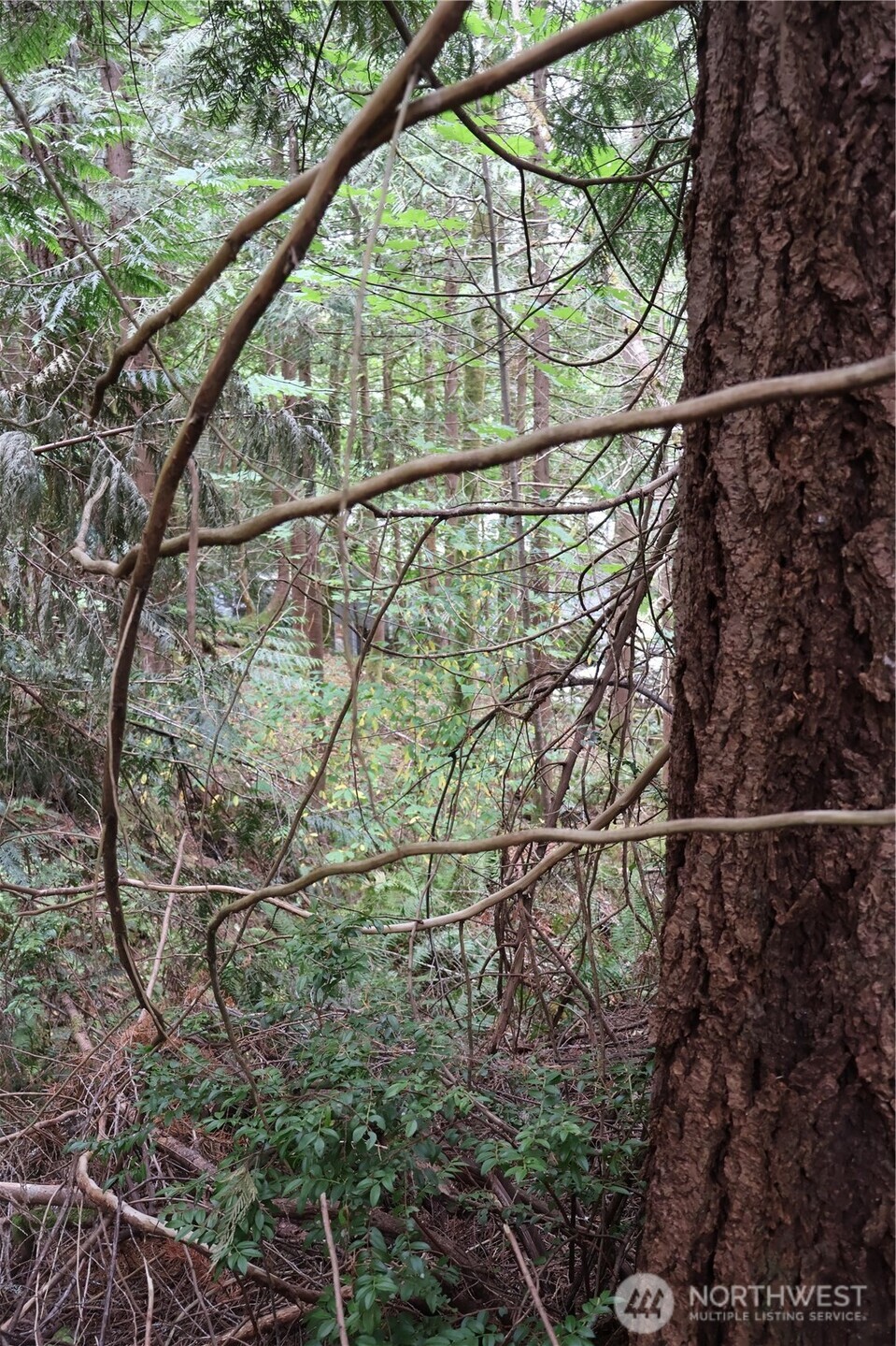 3659 Green Mountain Road Property Photo 25