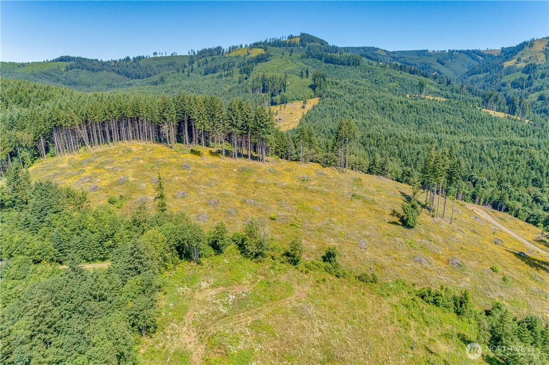 393 Hansen Ext Road Property Photo 14