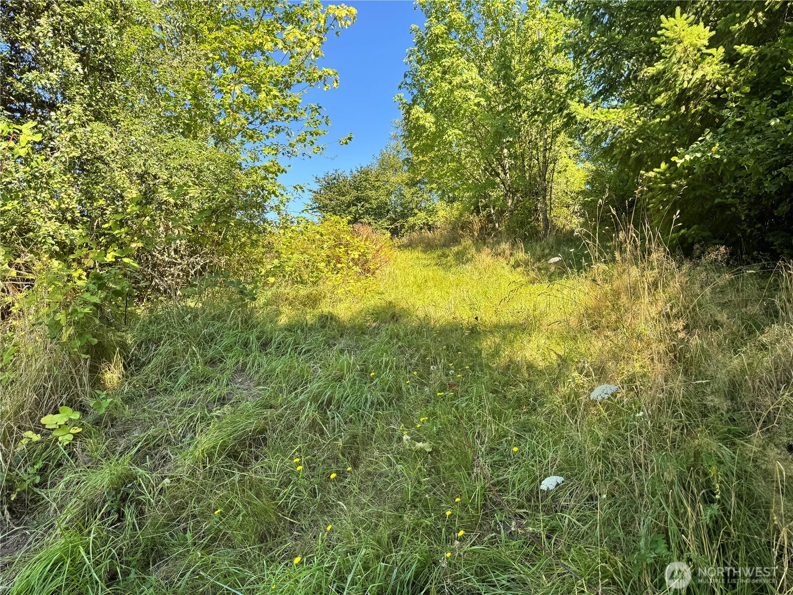 106 Bridgeview Lane Property Photo 4