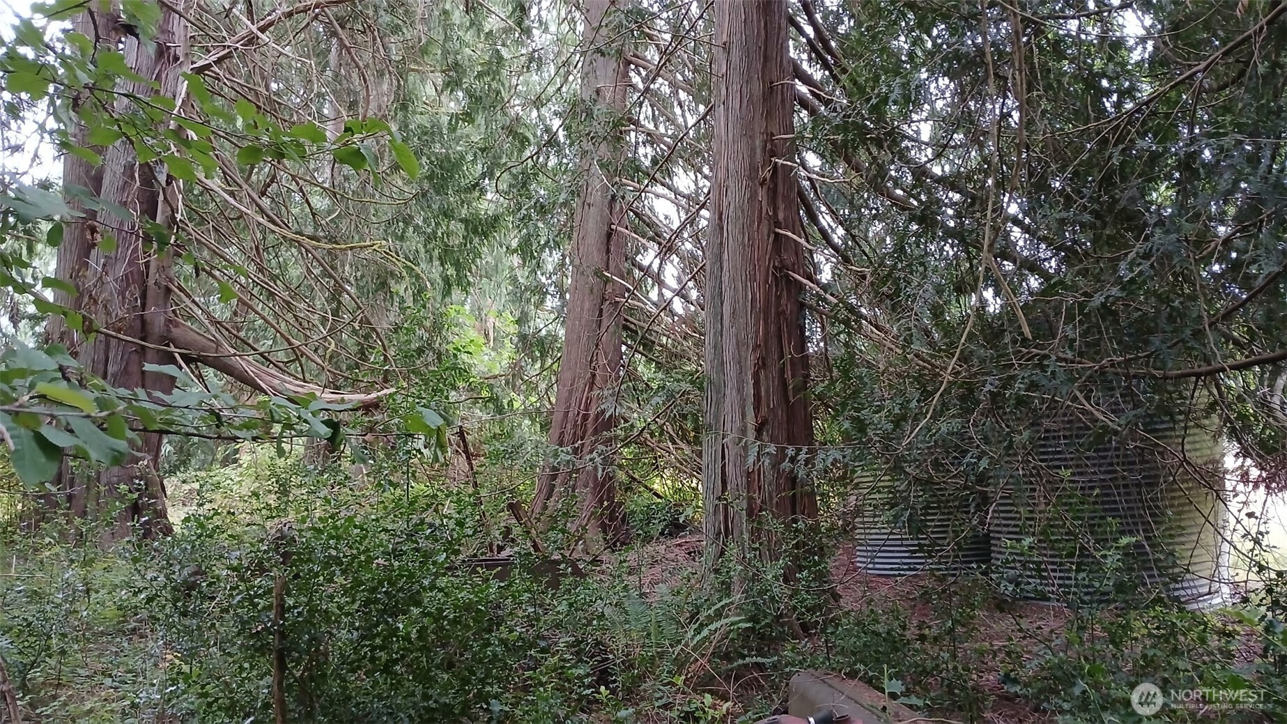 0 127th Avenue Property Photo 1