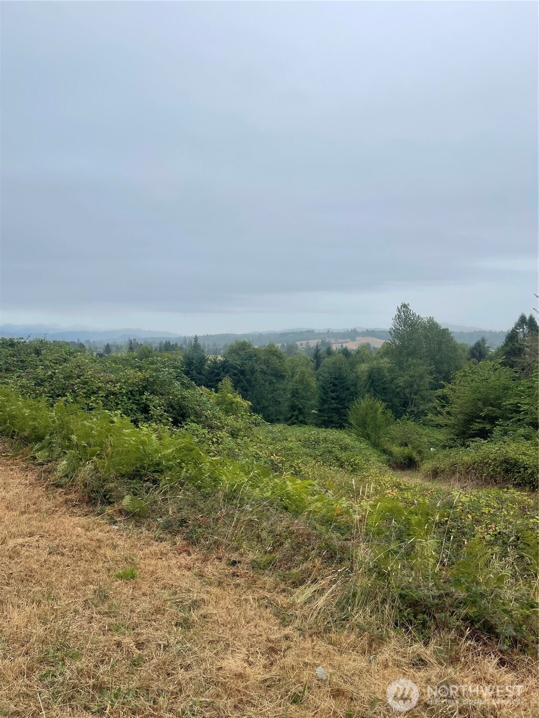 47 Alexander Road Property Photo 2