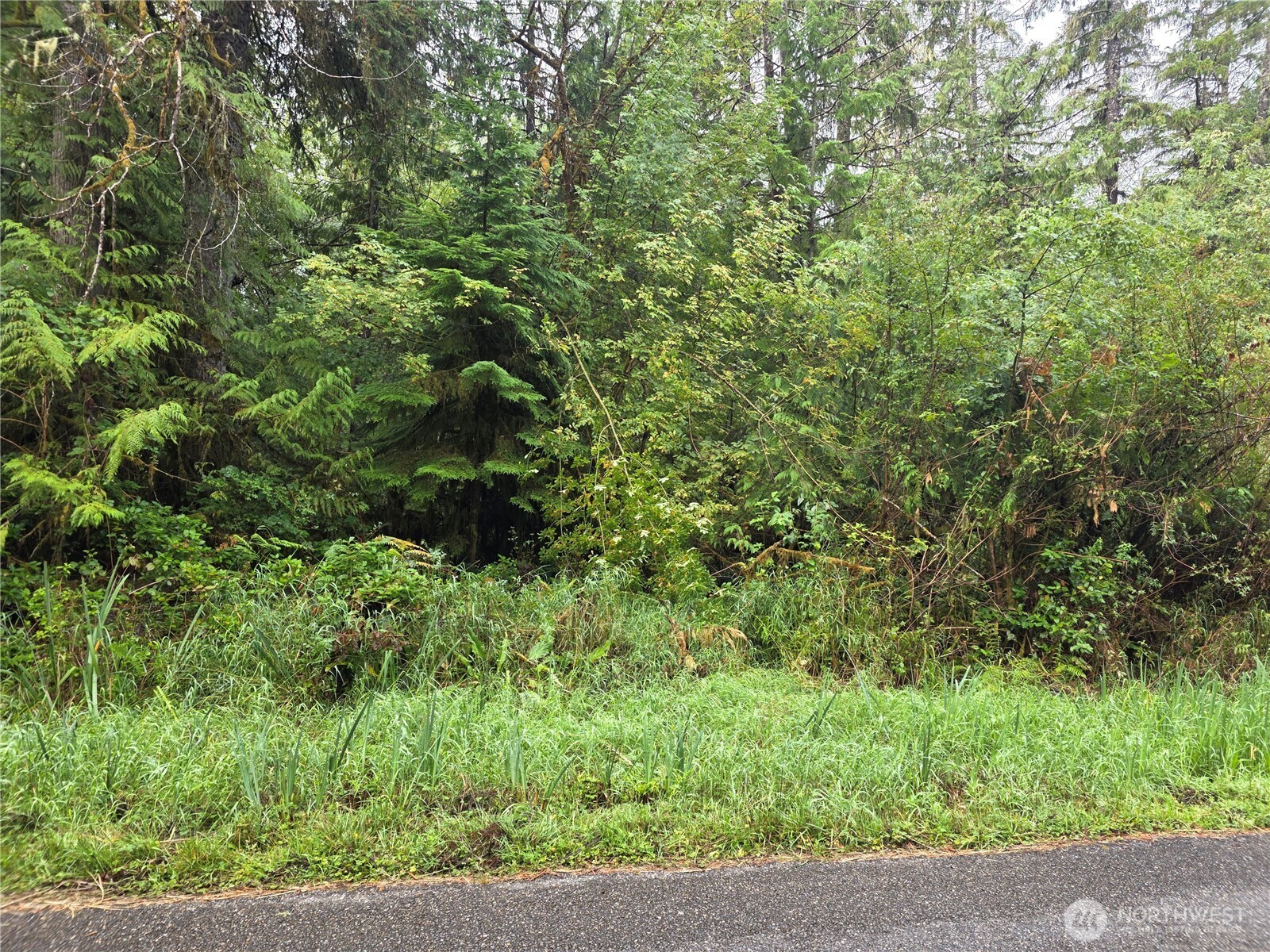1581 E Phillips Lake Loop Road Property Photo 2