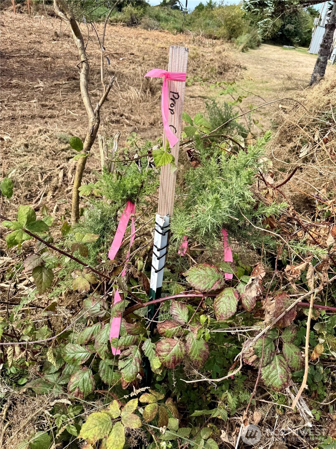 96 X State Route 105 Property Photo 9