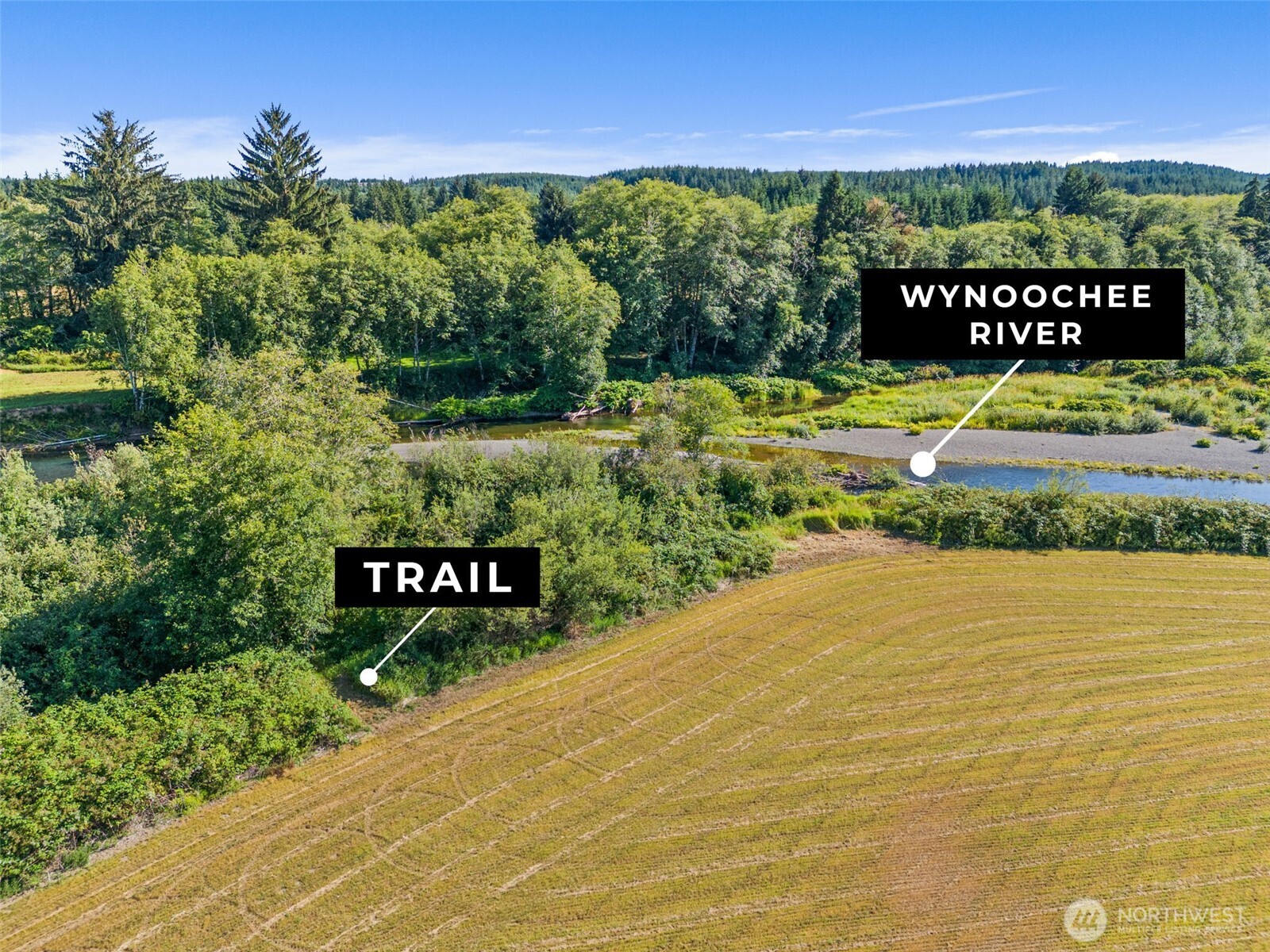 627 Wynoochee Valley Road Property Photo 7