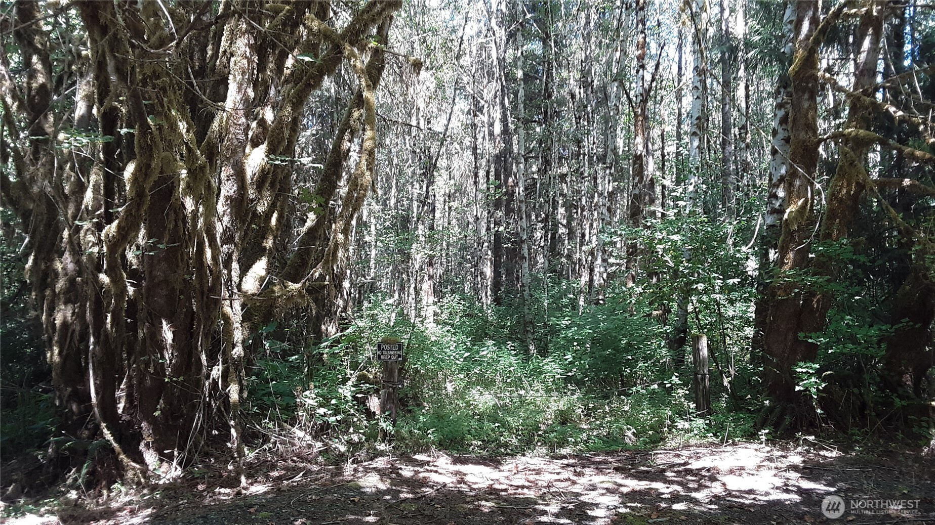 0 236xxx Us-101 Property Photo 6