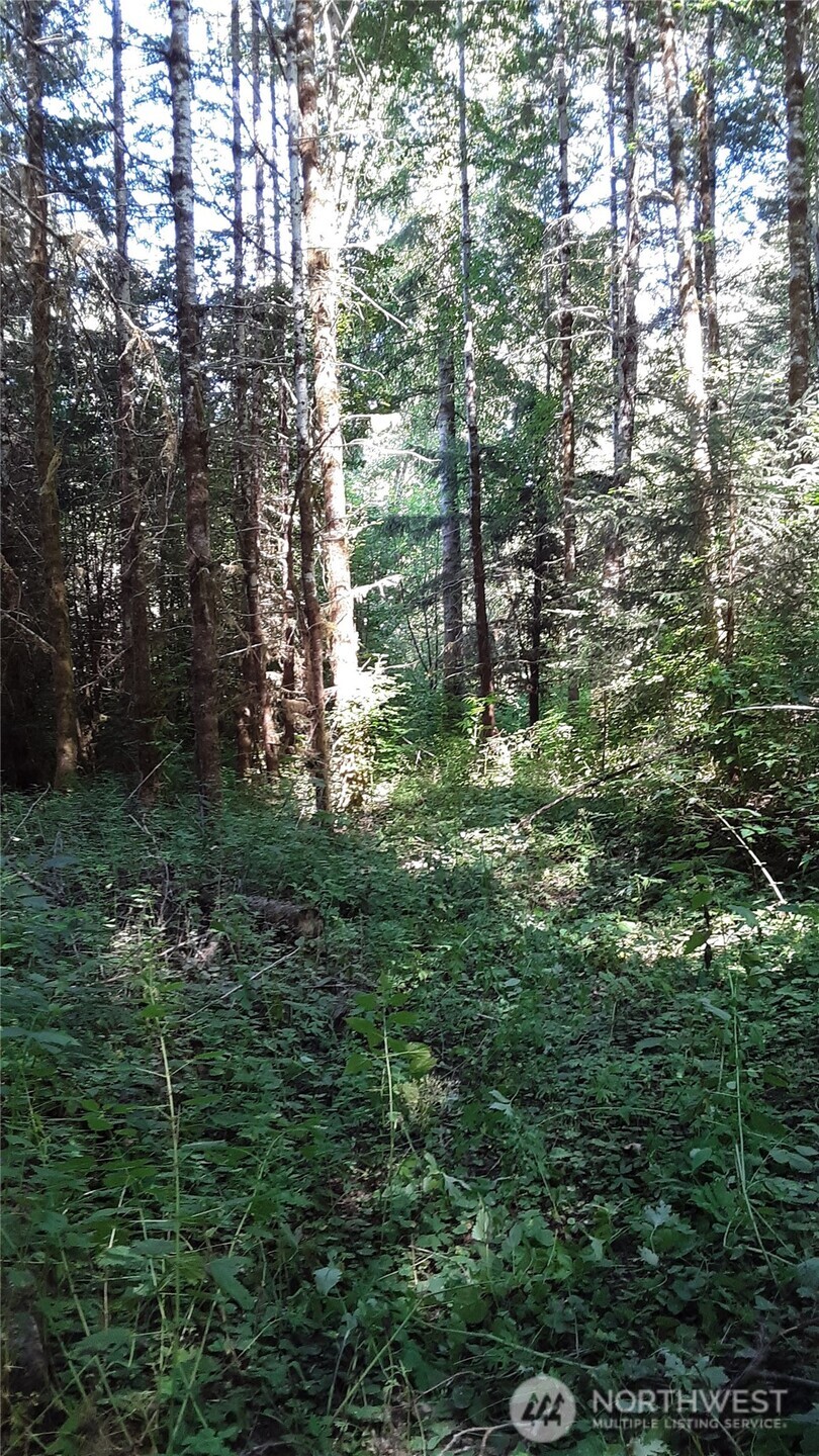 0 236xxx Us-101 Property Photo 8