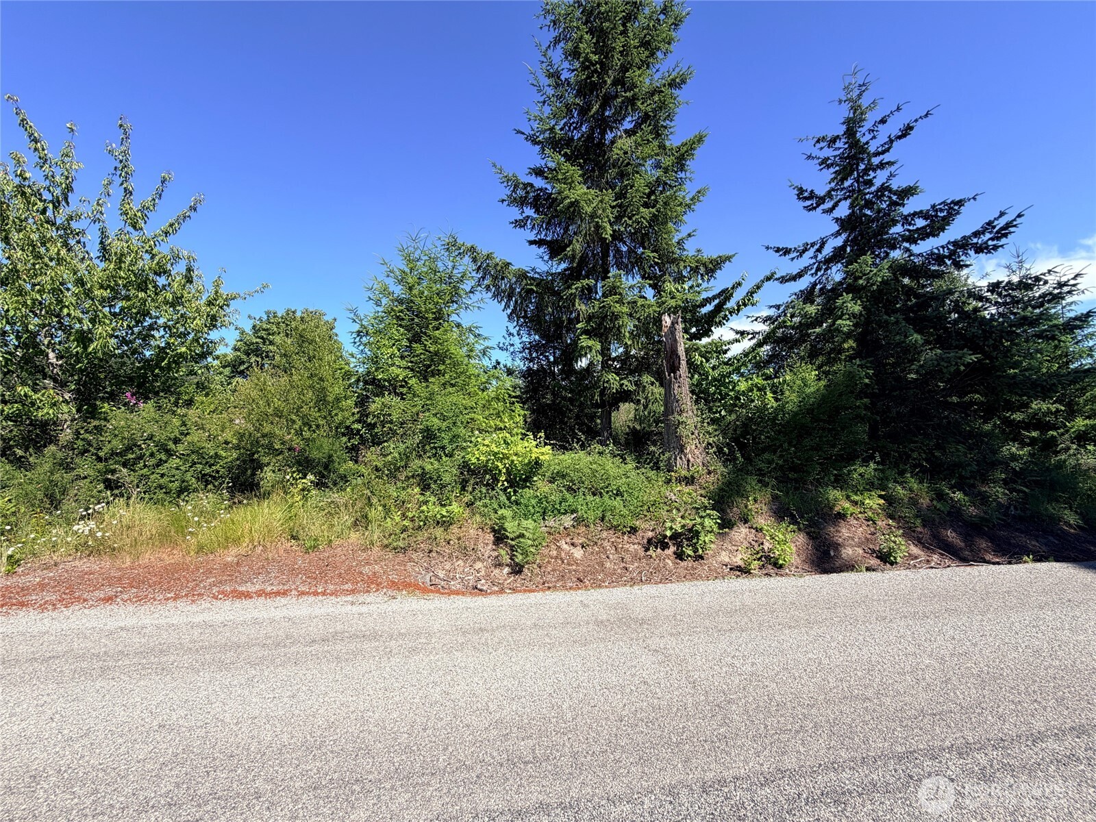 2721 158th Avenue Property Photo 5