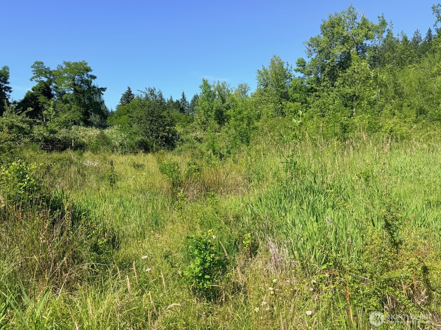 2721 158th Avenue Property Photo 8