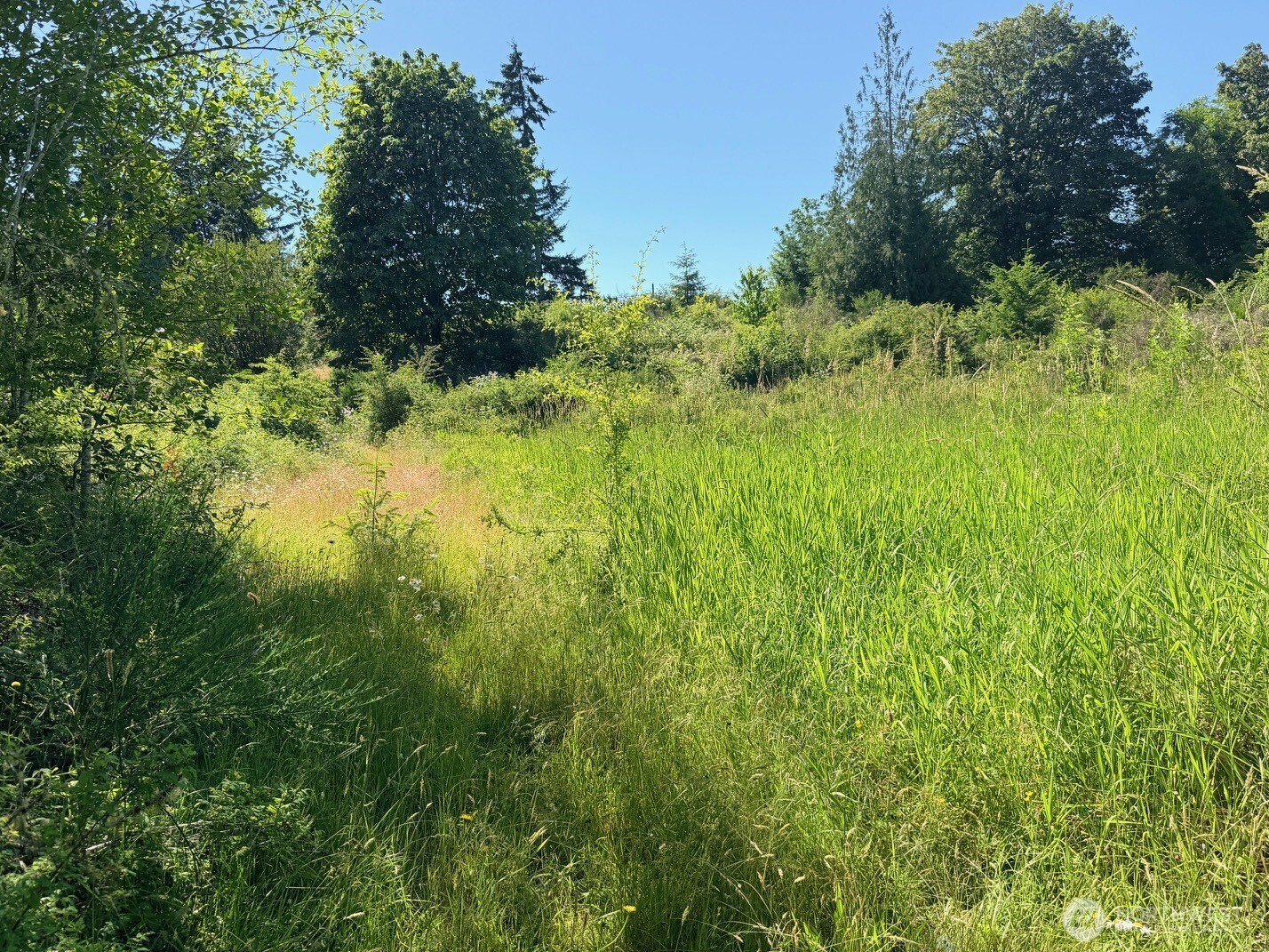 2721 158th Avenue Property Photo 9