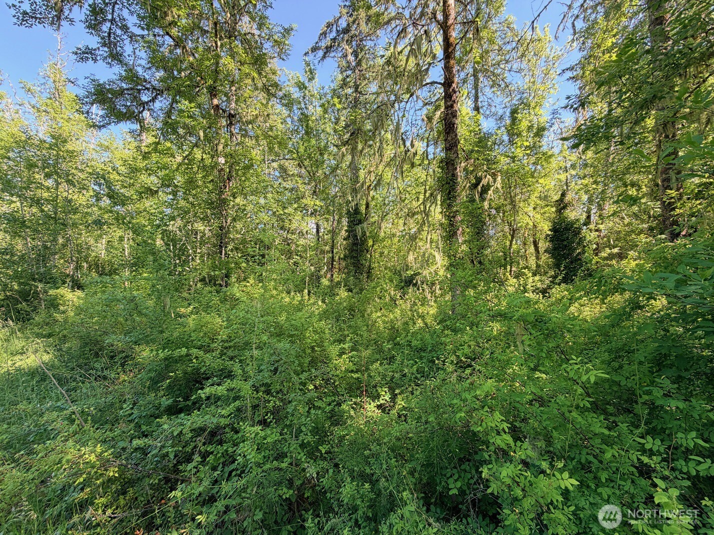 2721 158th Avenue Property Photo 12