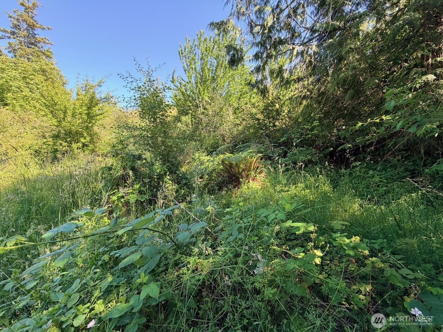 2721 158th Avenue Property Photo 13