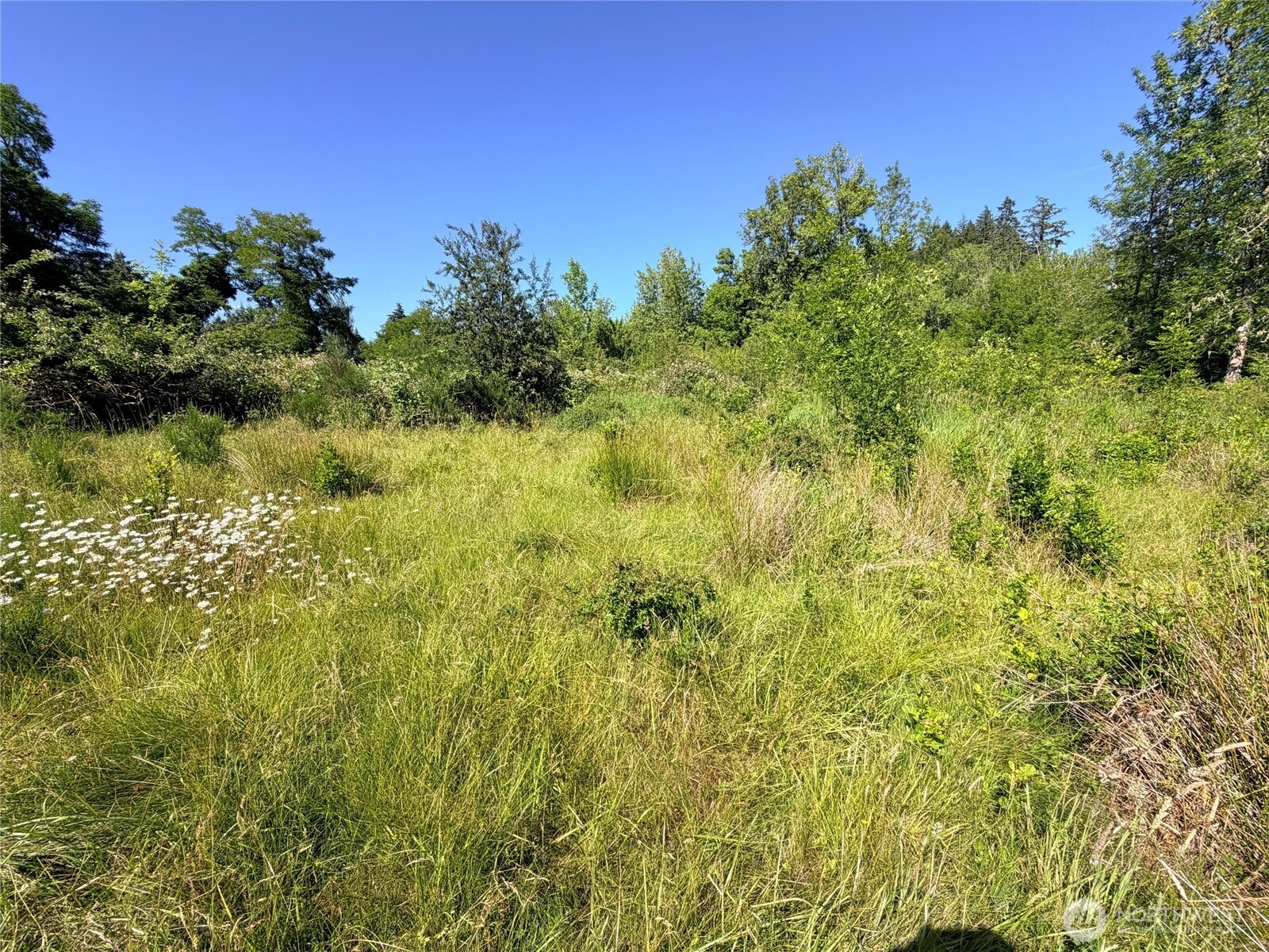 2721 158th Avenue Property Photo 21