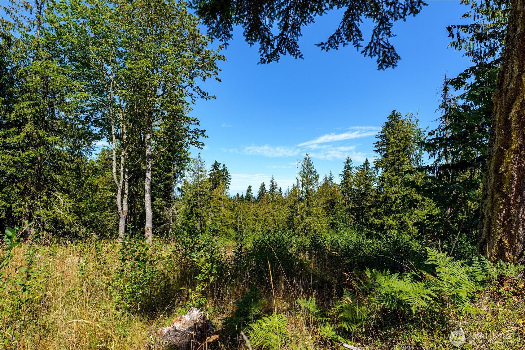 0 Xx Township Line Road Property Photo 6