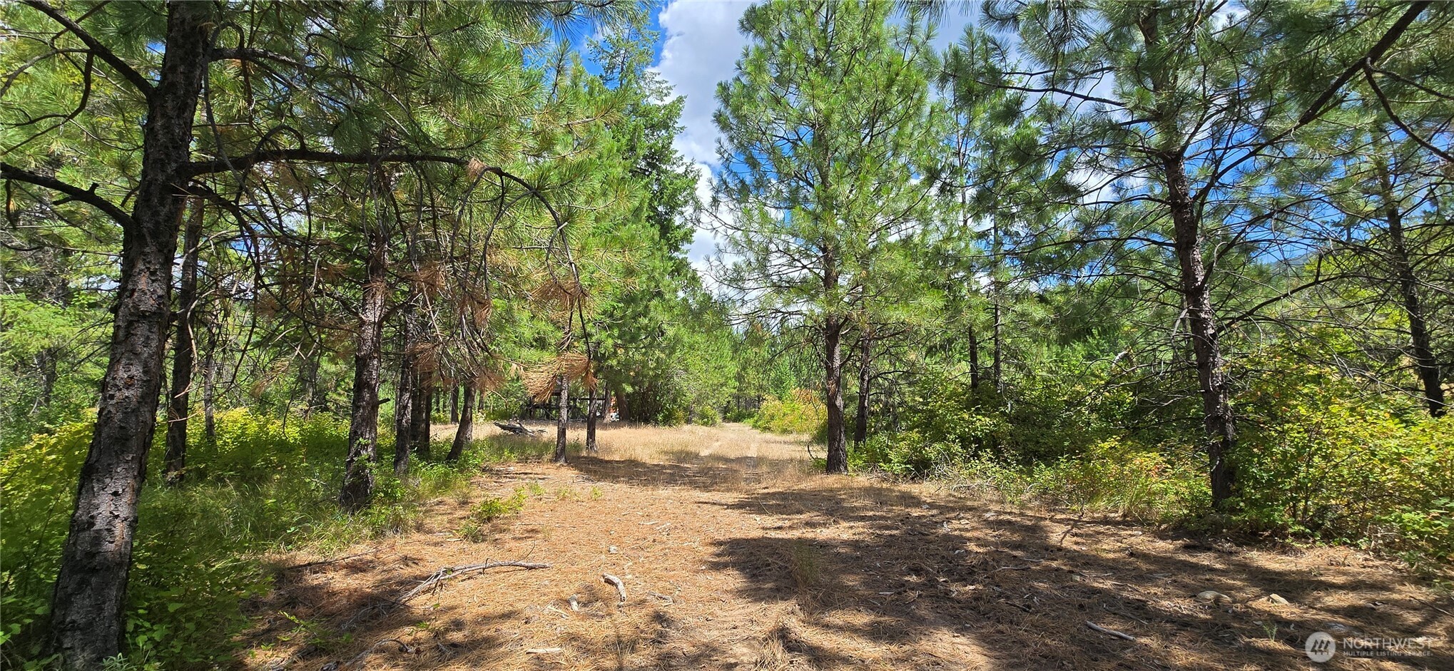 1733 Old Cc Road Property Photo 1