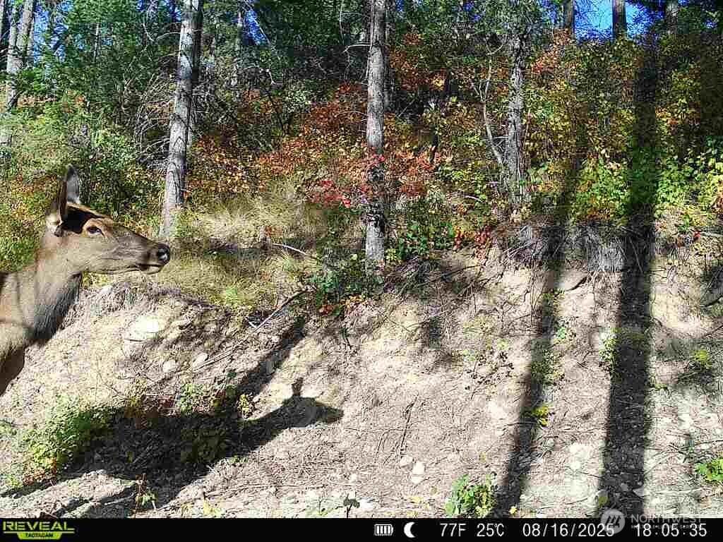 1733 Old Cc Road Property Photo 5