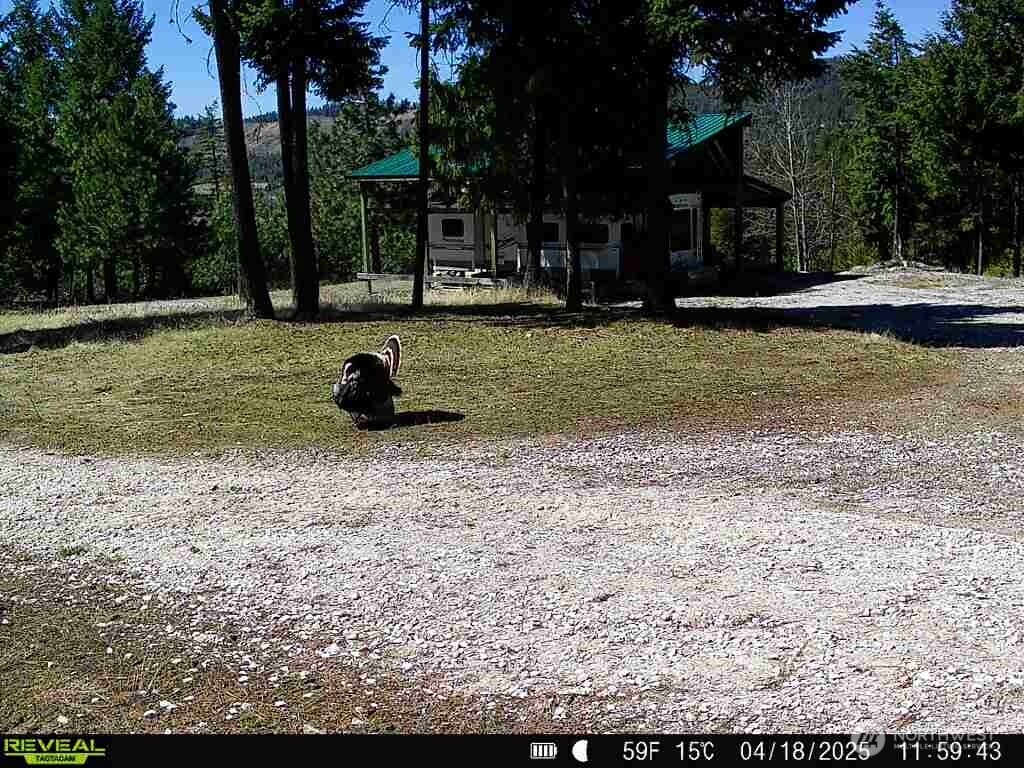 1733 Old Cc Road Property Photo 6