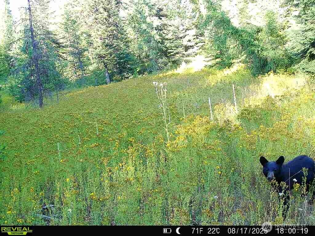 1733 Old Cc Road Property Photo 9