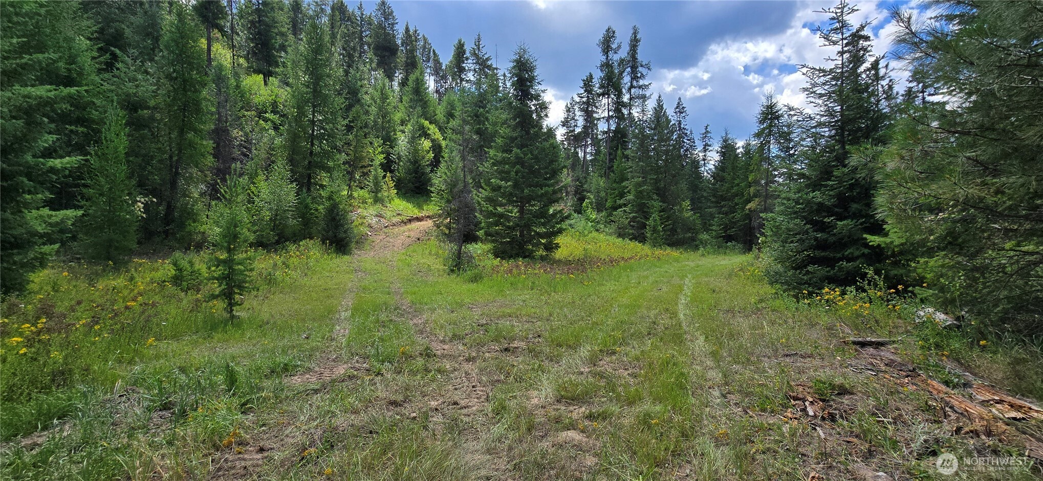 1733 Old Cc Road Property Photo 12