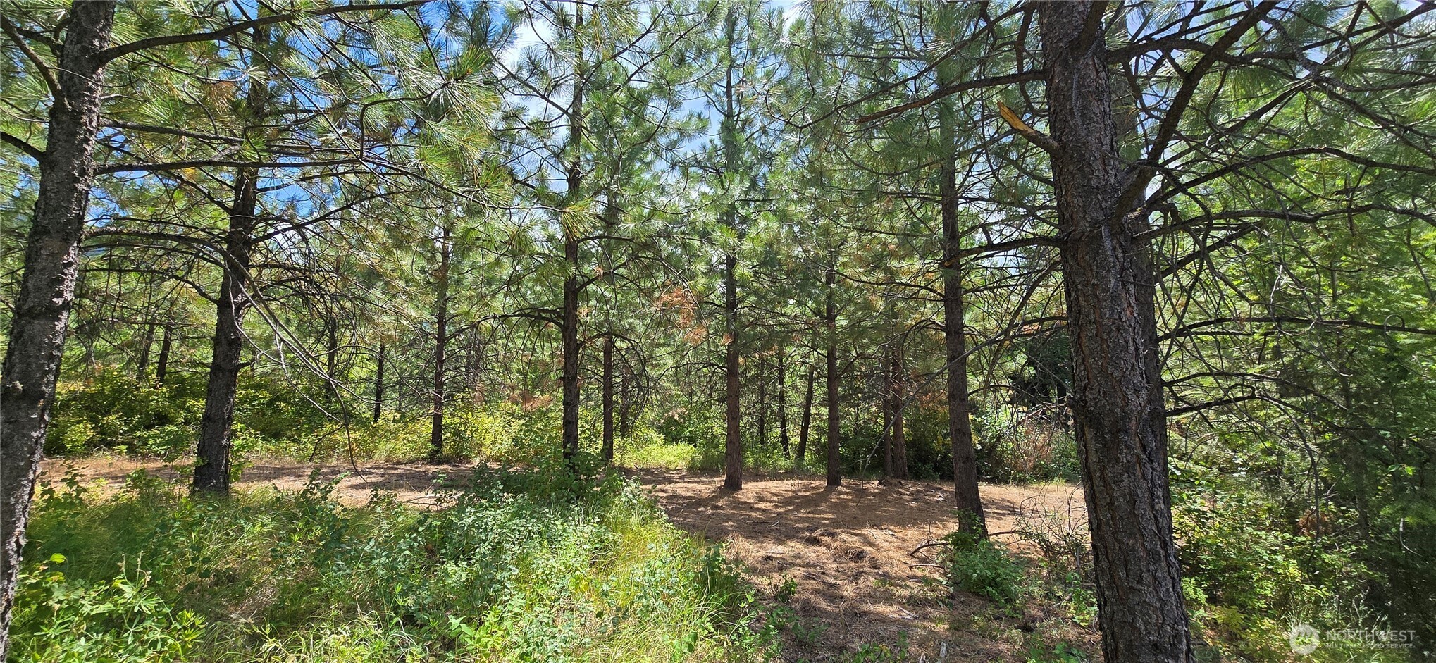 1733 Old Cc Road Property Photo 13