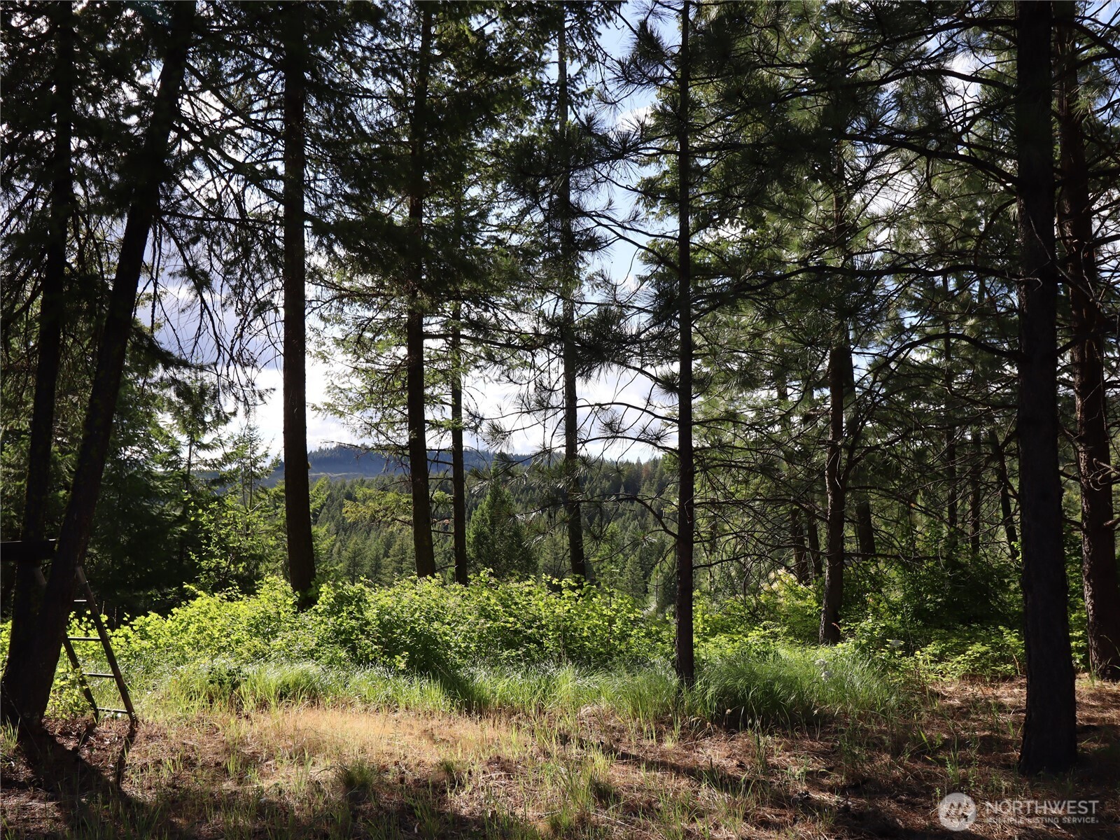 1733 Old Cc Road Property Photo 26