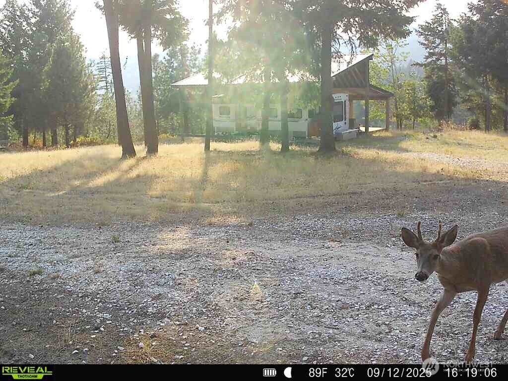 1733 Old Cc Road Property Photo 27
